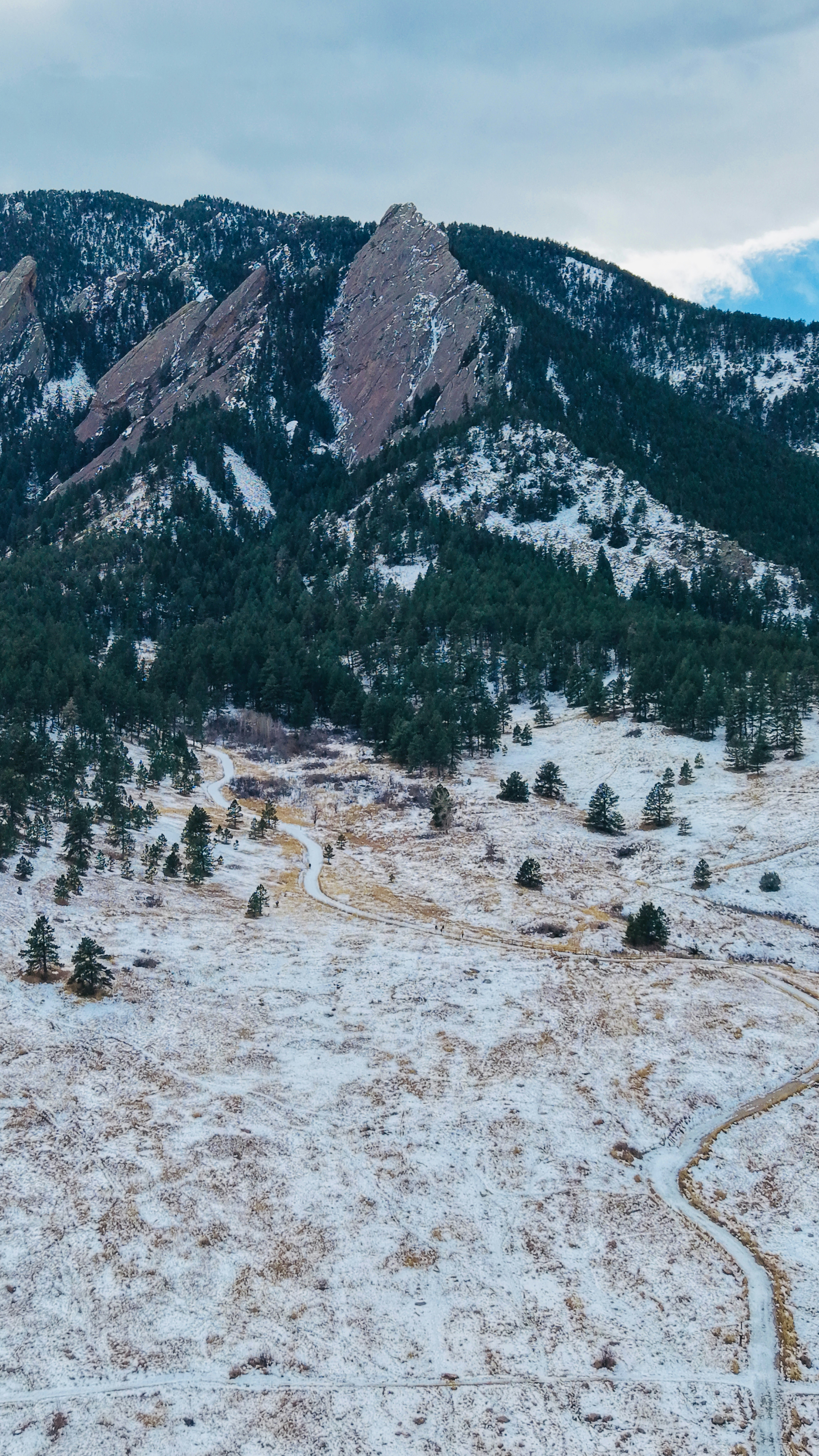 Snowy mountain landscape with pine trees and winding paths.