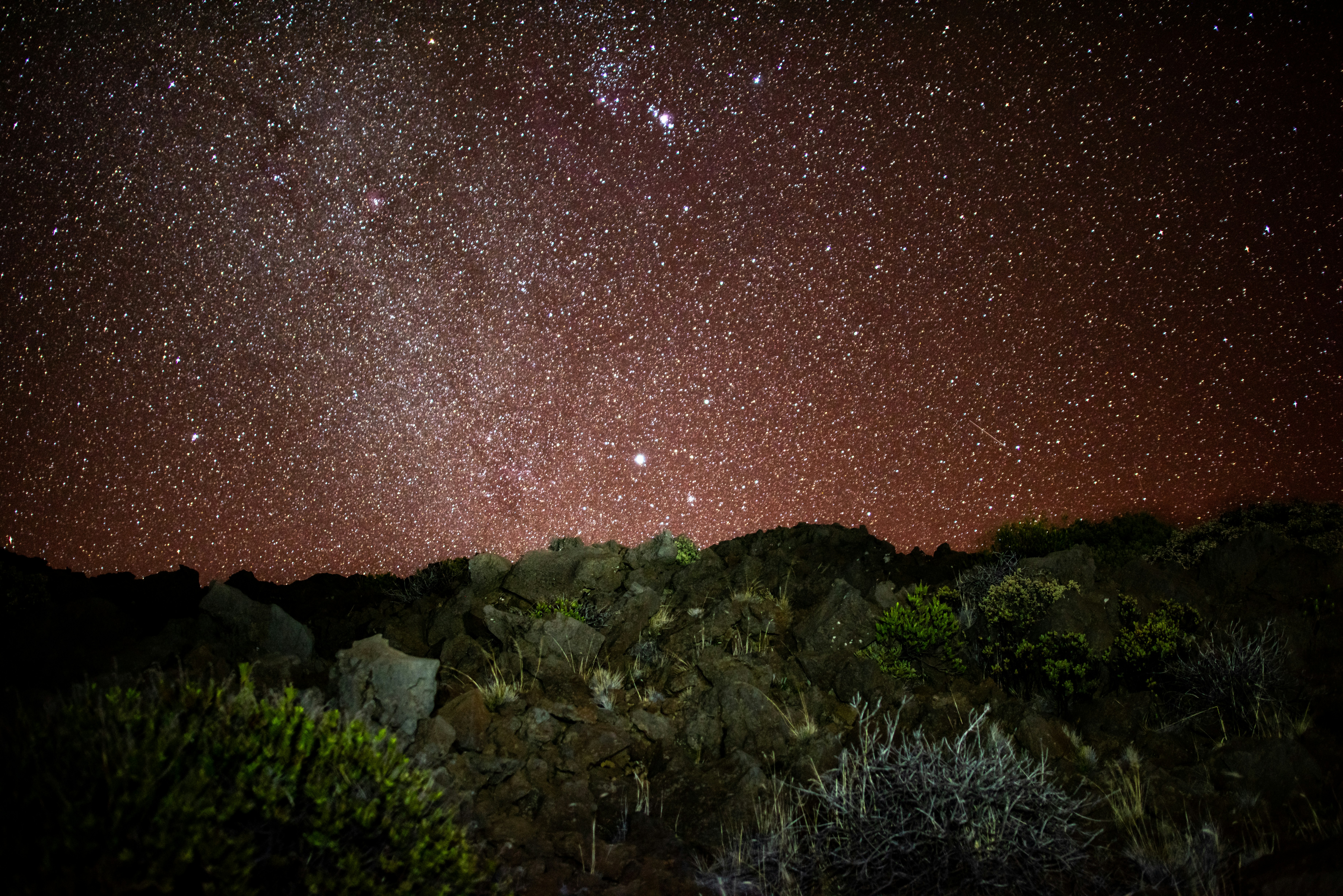 최신 정보 공유: SPDR Gold Shares(GLD) ETF에 대한 모든 것