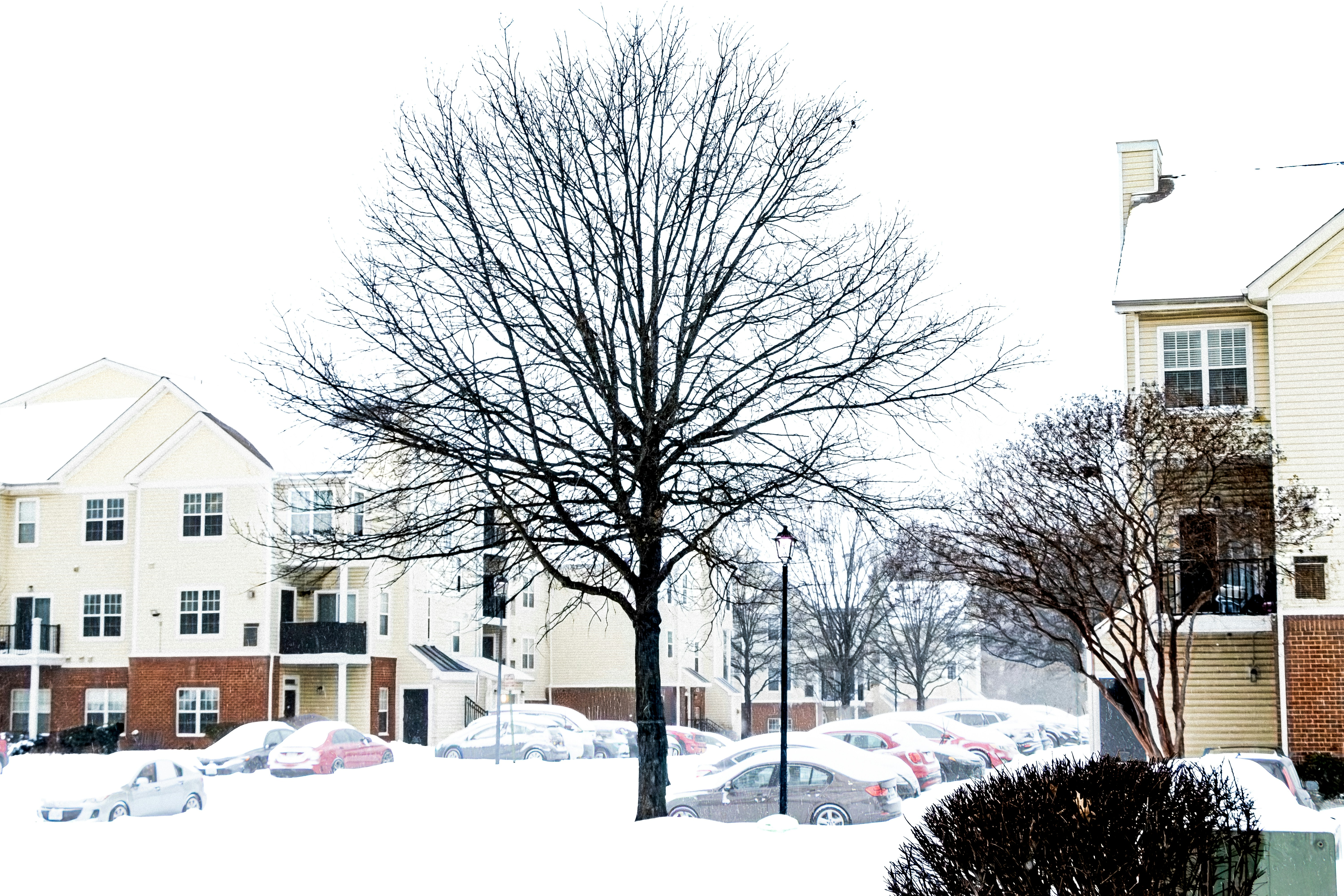 Photo by veerender_mothukuri