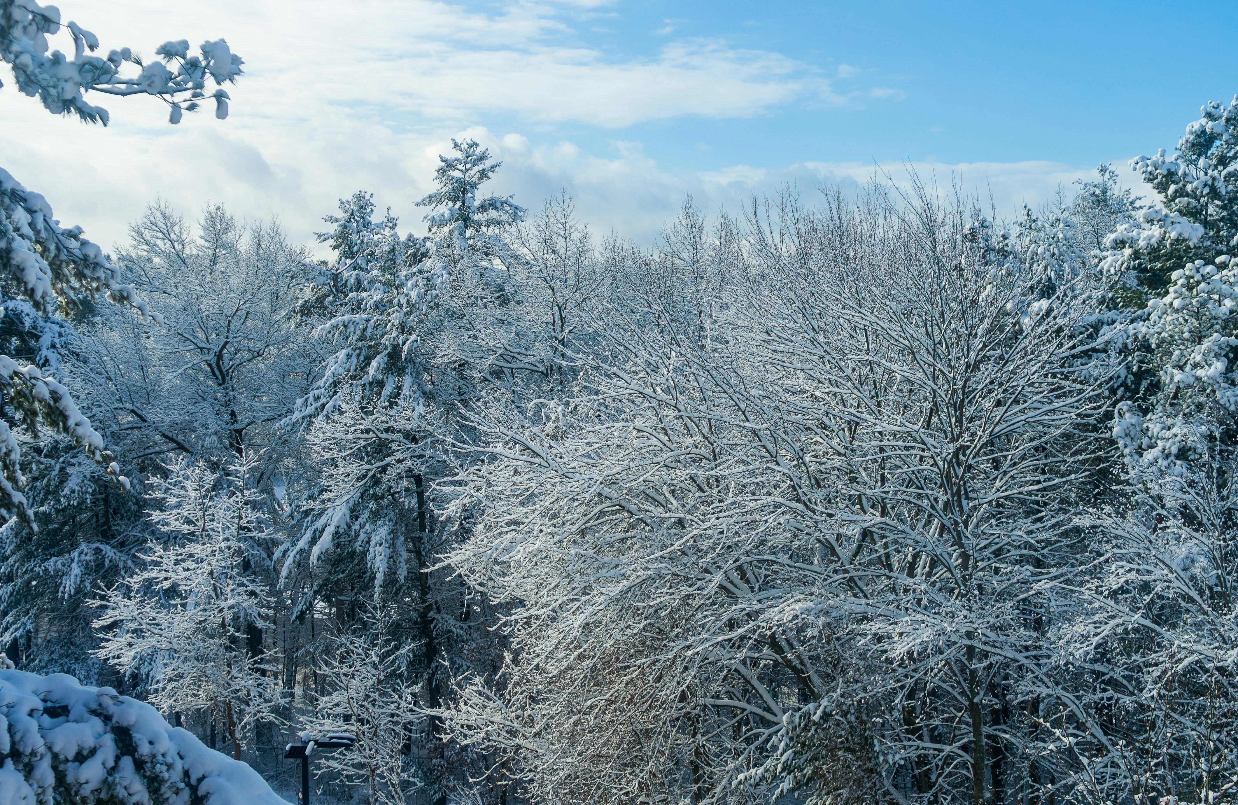 Photo by aiden_kepler