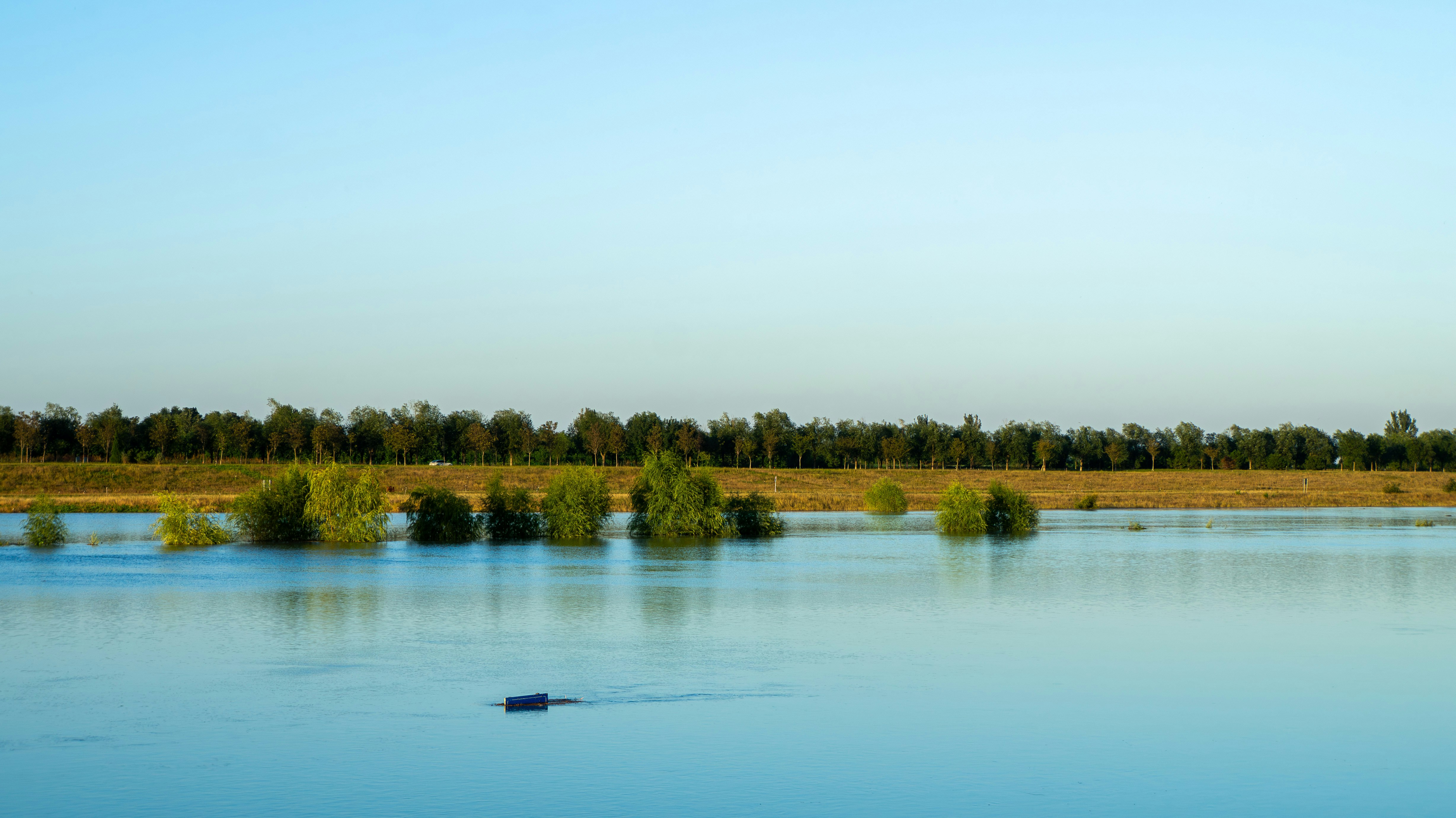 Photo by aiden_kepler