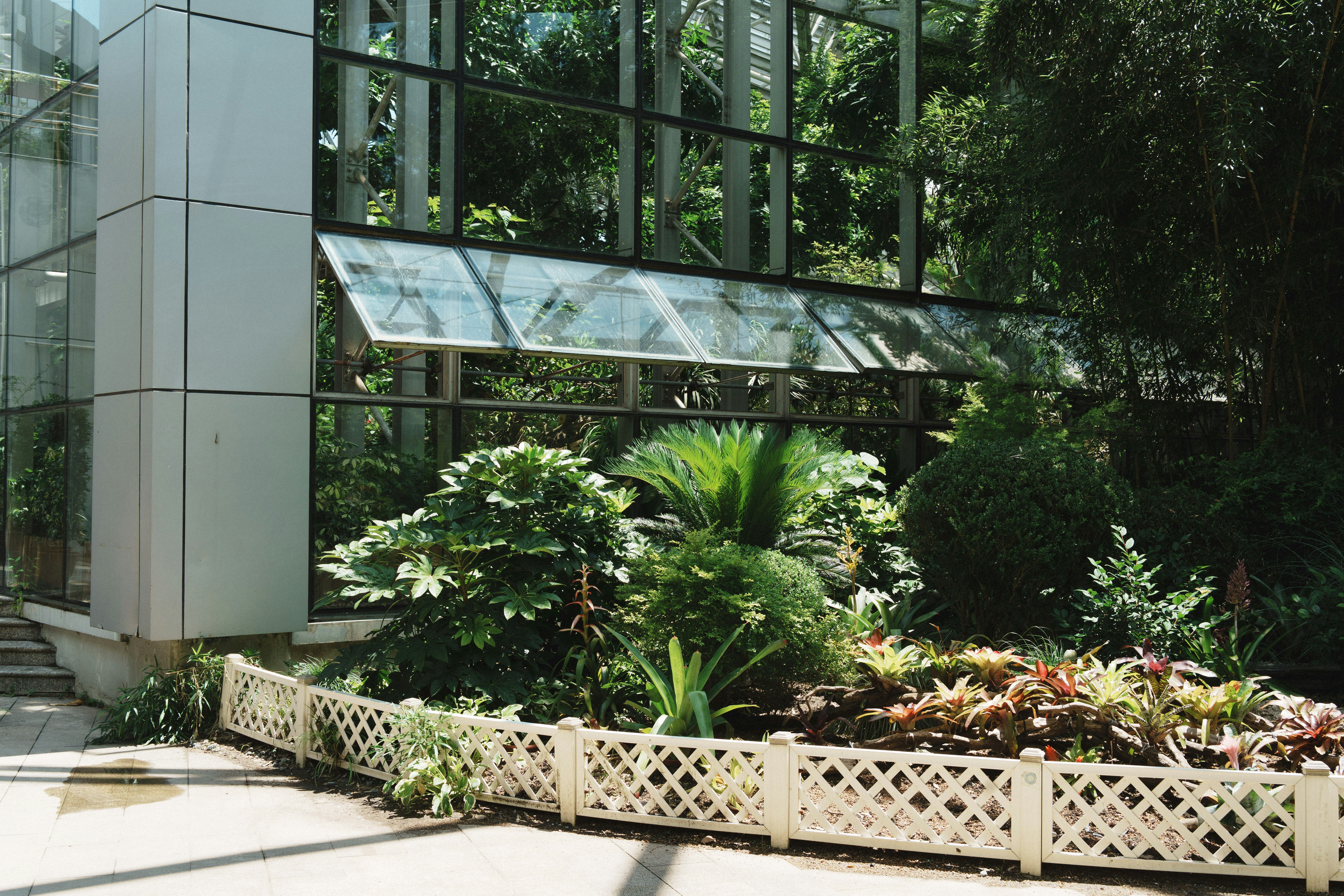 Lush green plants inside a modern glass greenhouse.