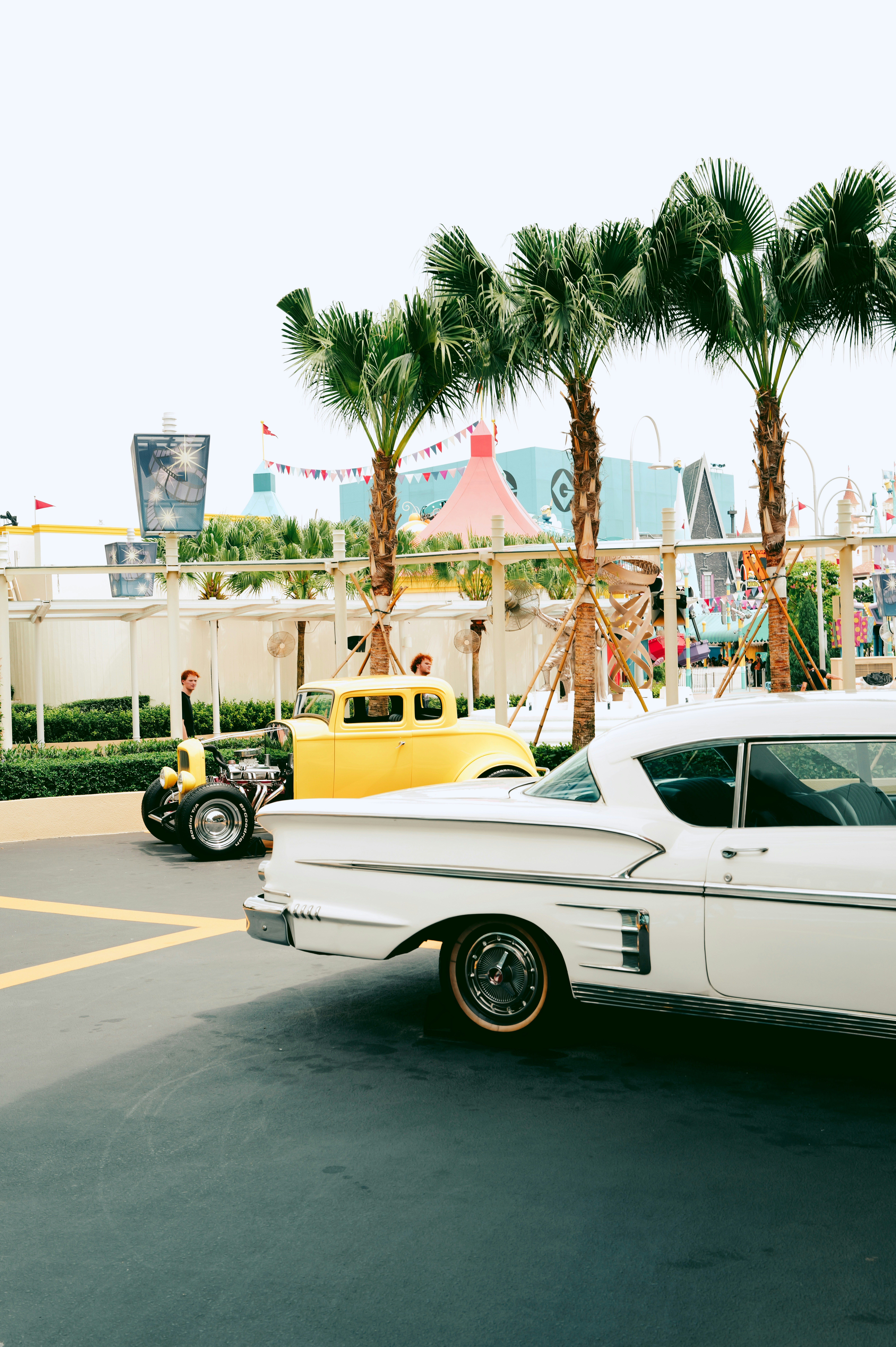 Two classic cars parked near palm trees