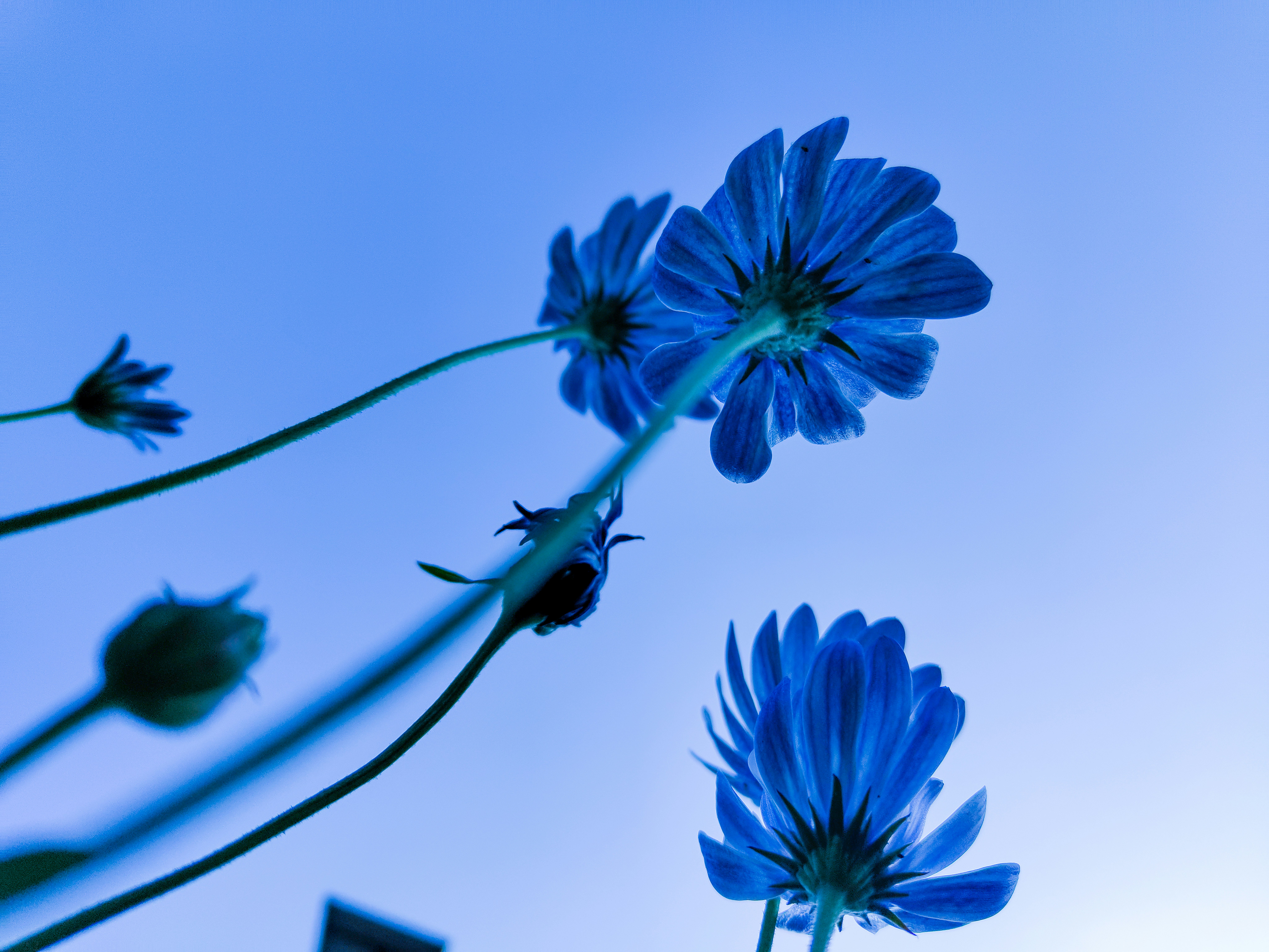 Photo by nature_beeut