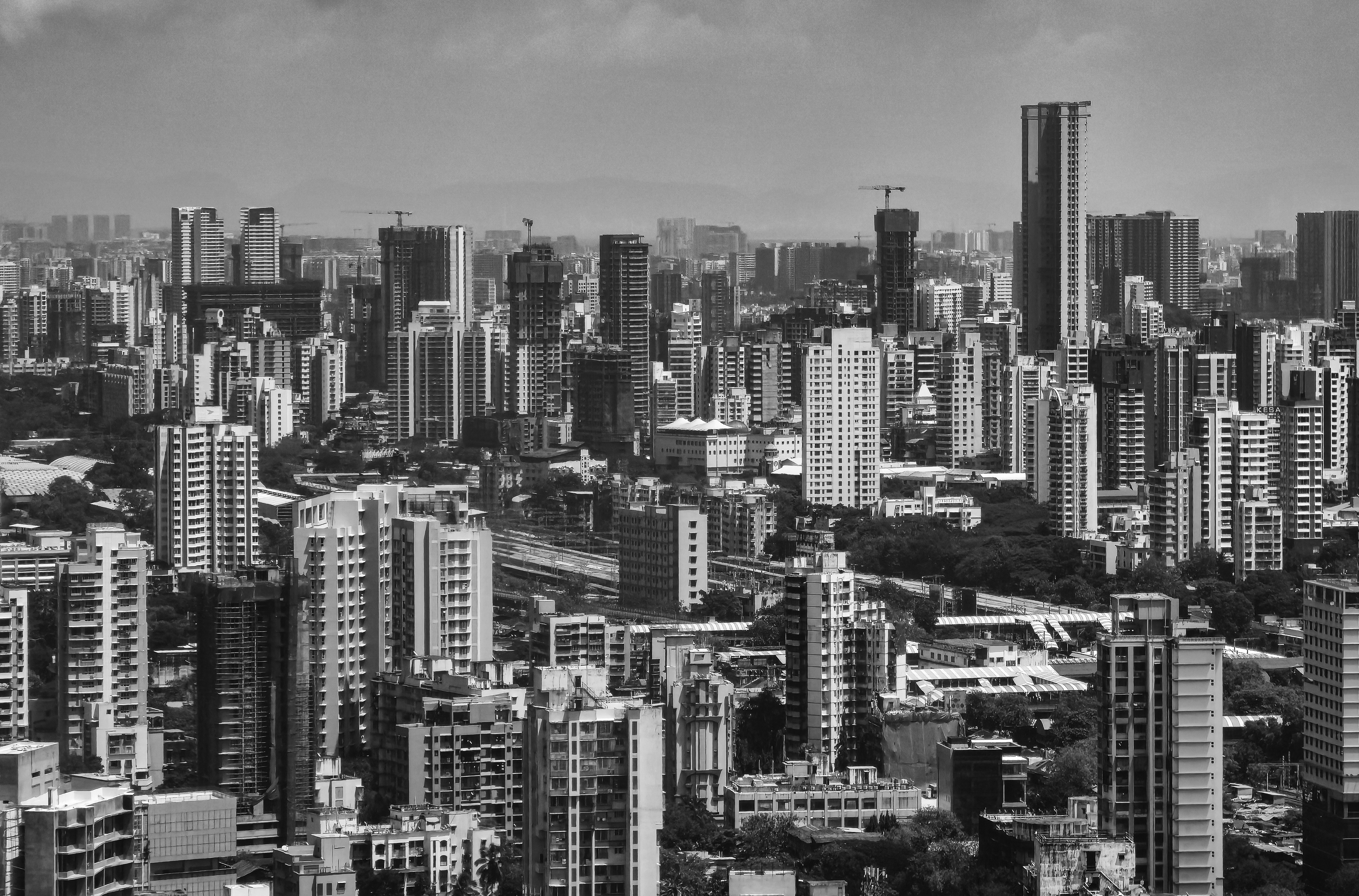 Photo by zoshuacolah