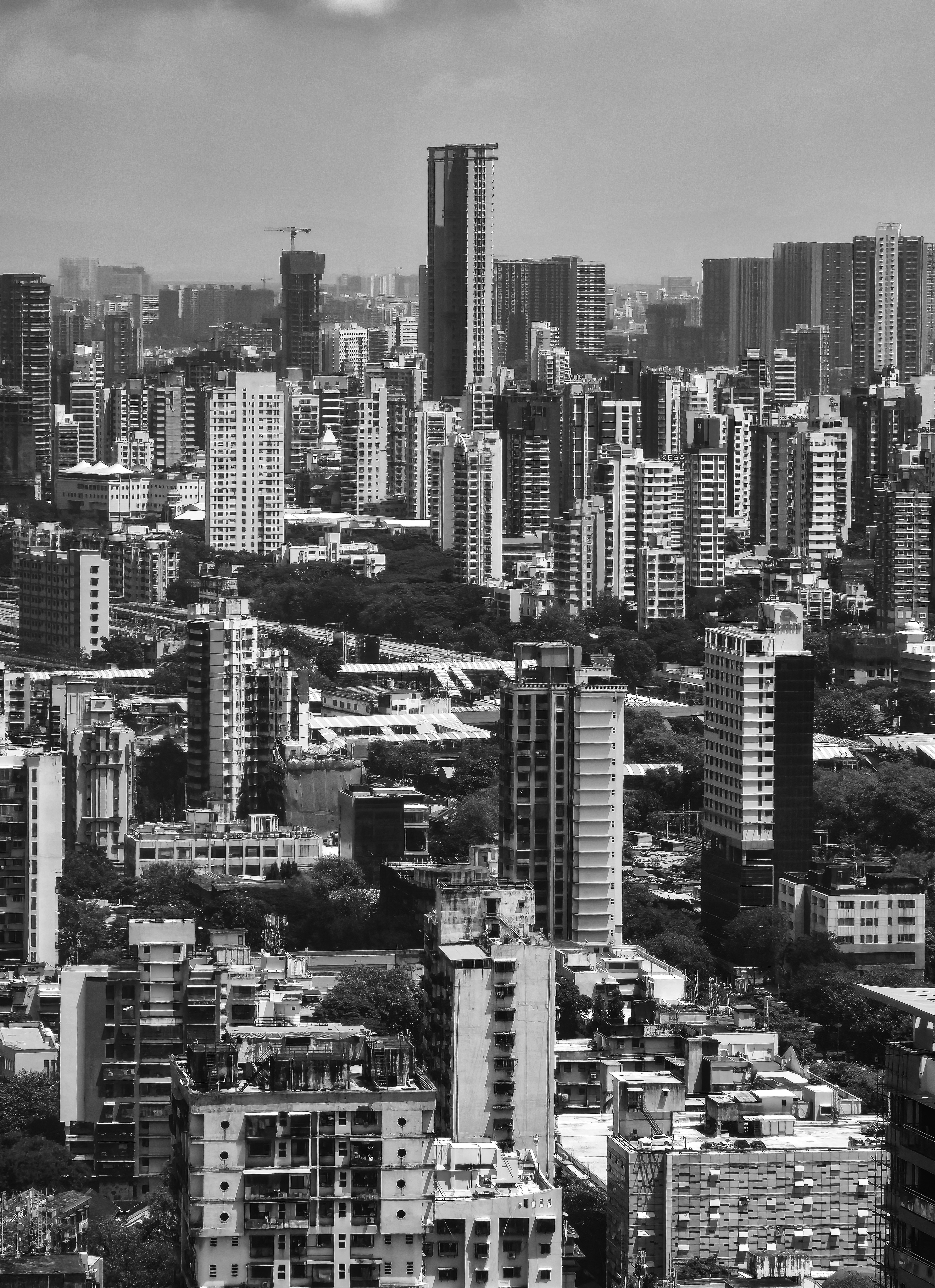 Un paysage urbain dense avec de nombreux immeubles élevés