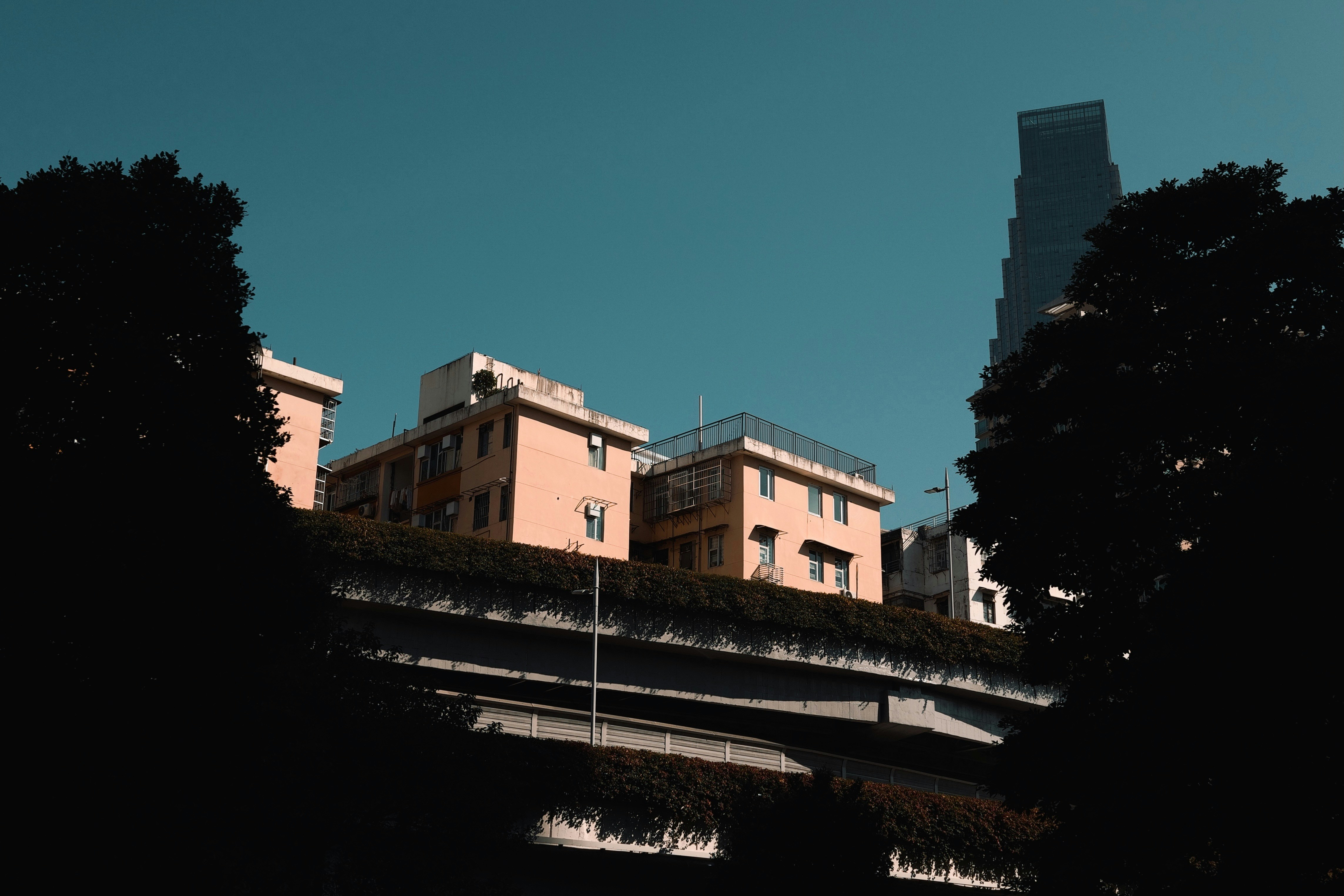 Photo by bunnystudio