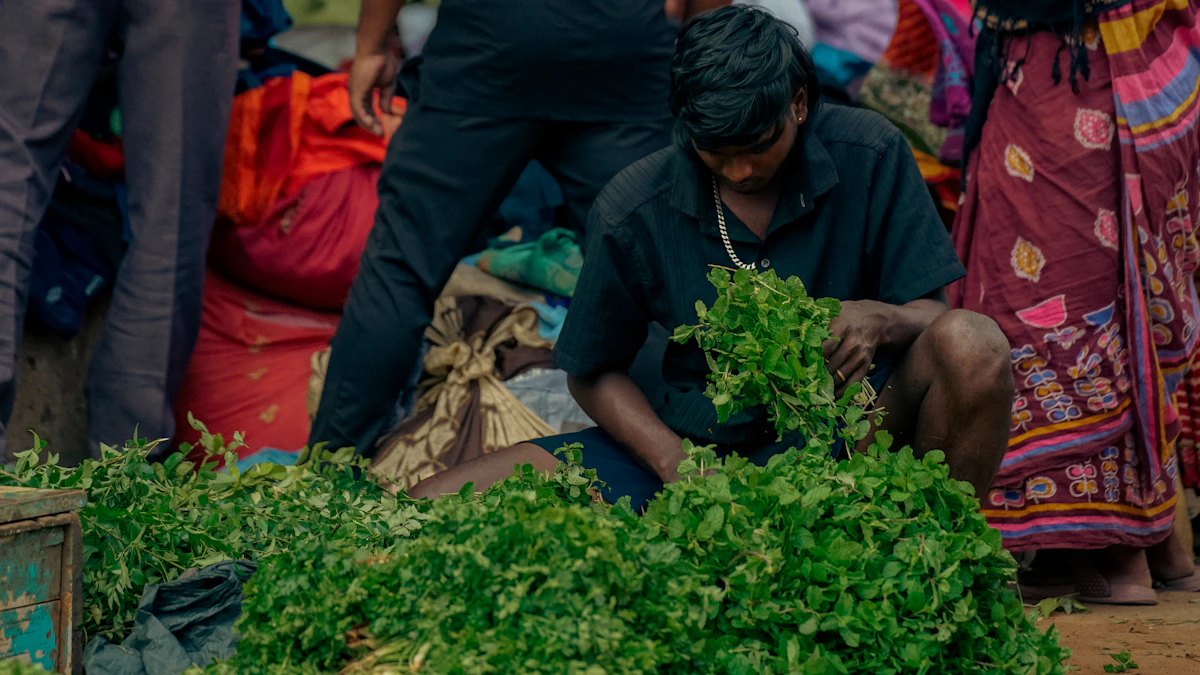 A person sorting fresh leafy vegetables at a market