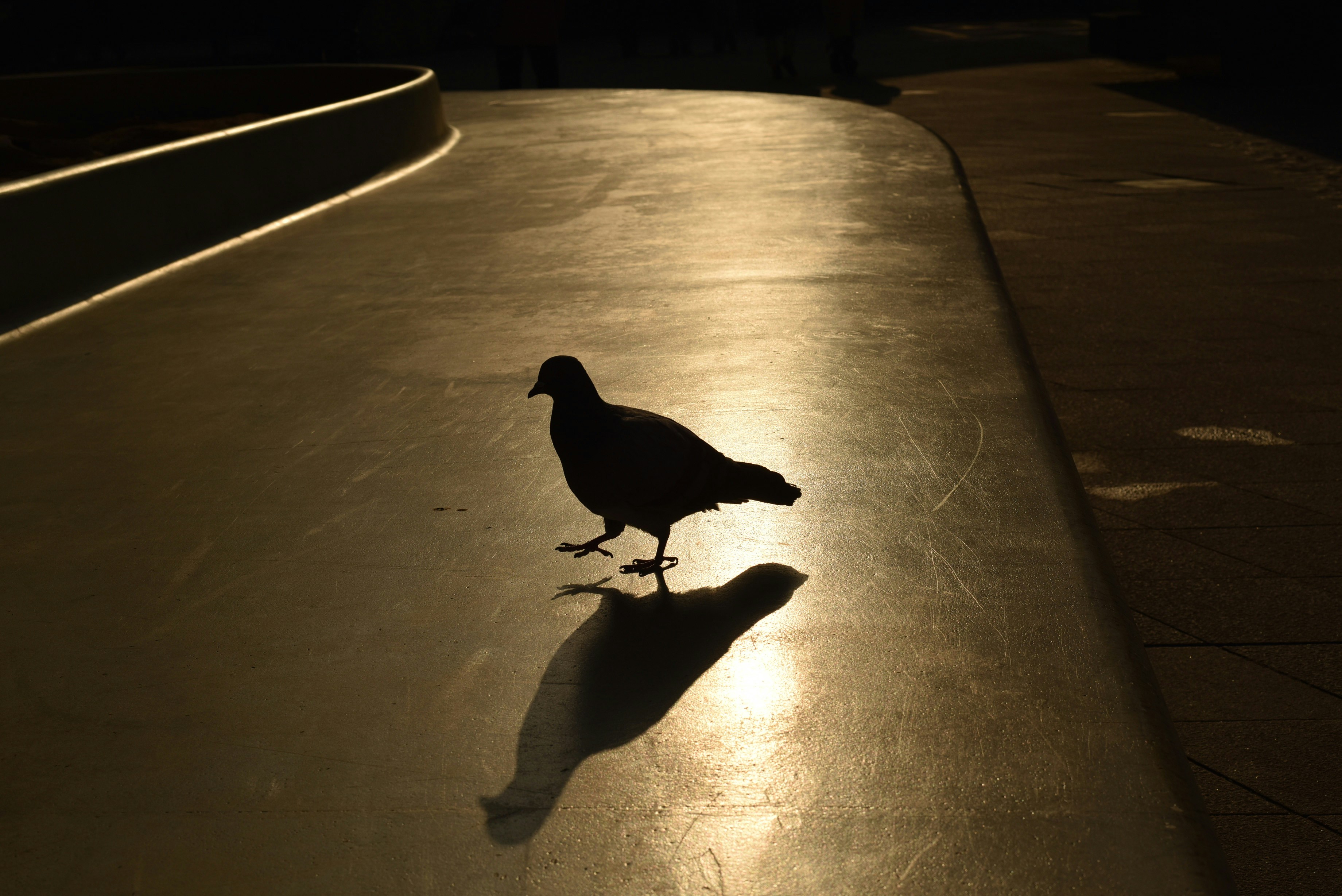 Photo by memenito_96