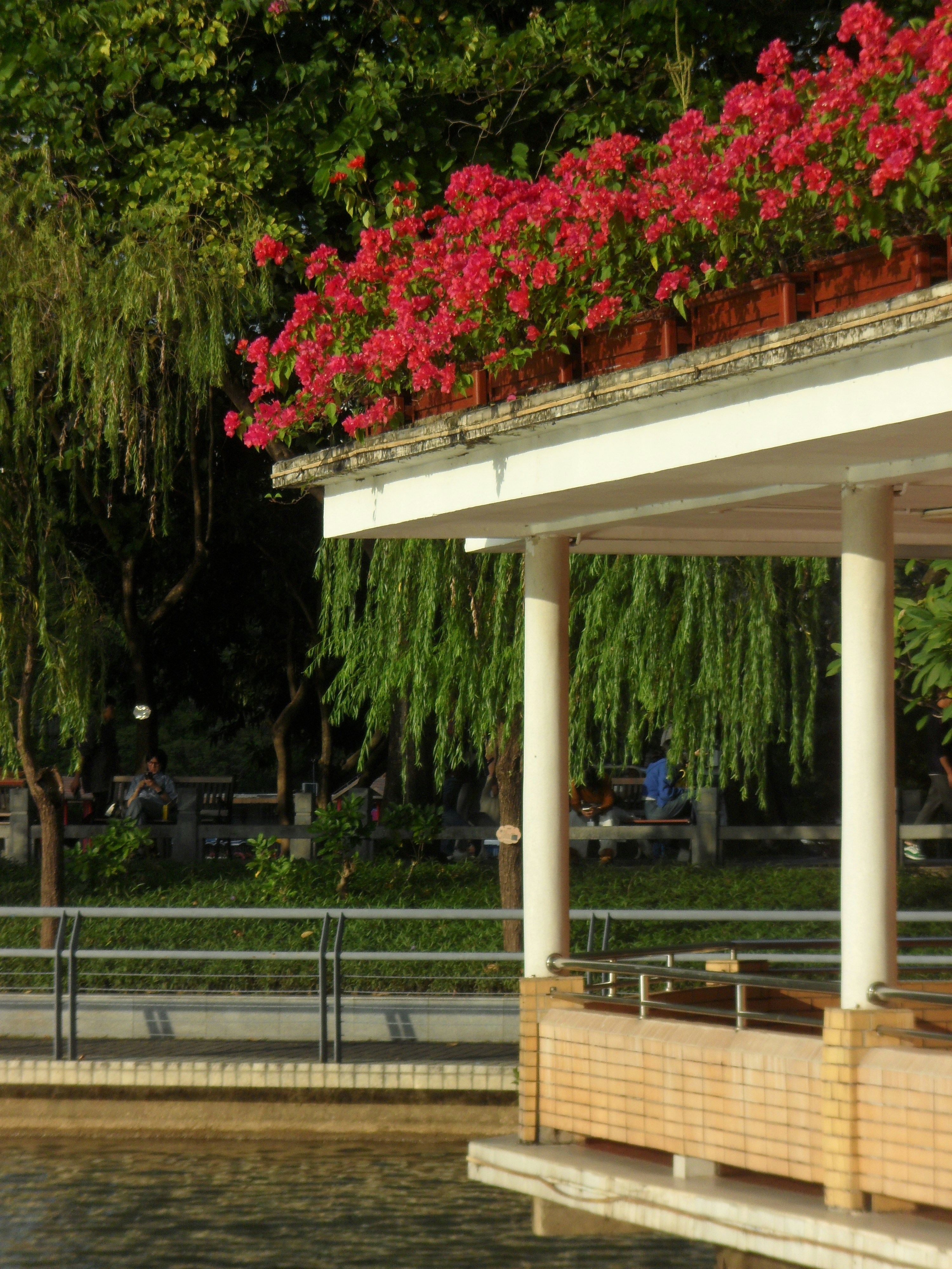 Flores rojas adornan un pabellón del parque junto a un estanque tranquilo