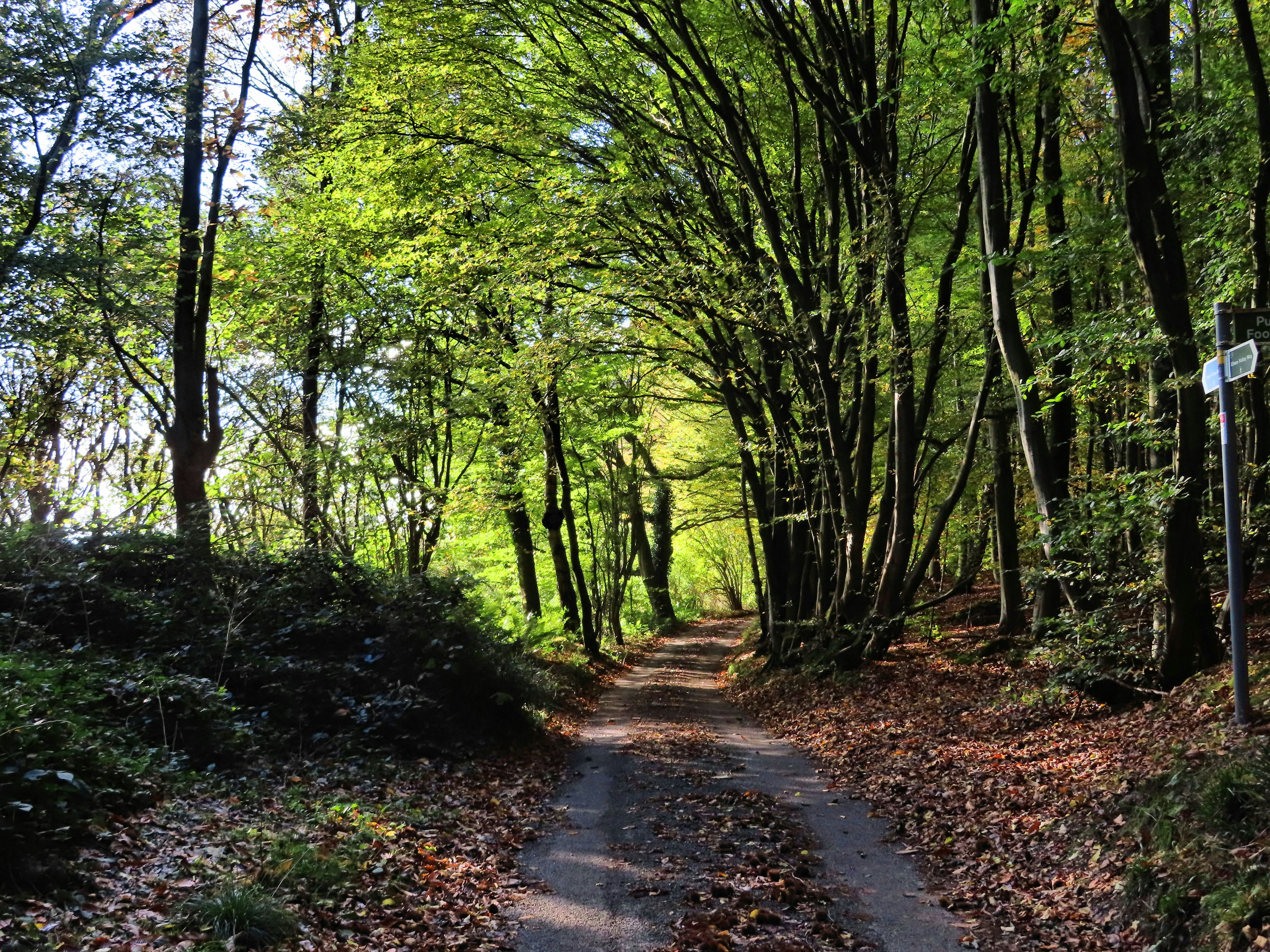 Photo by katerussell76