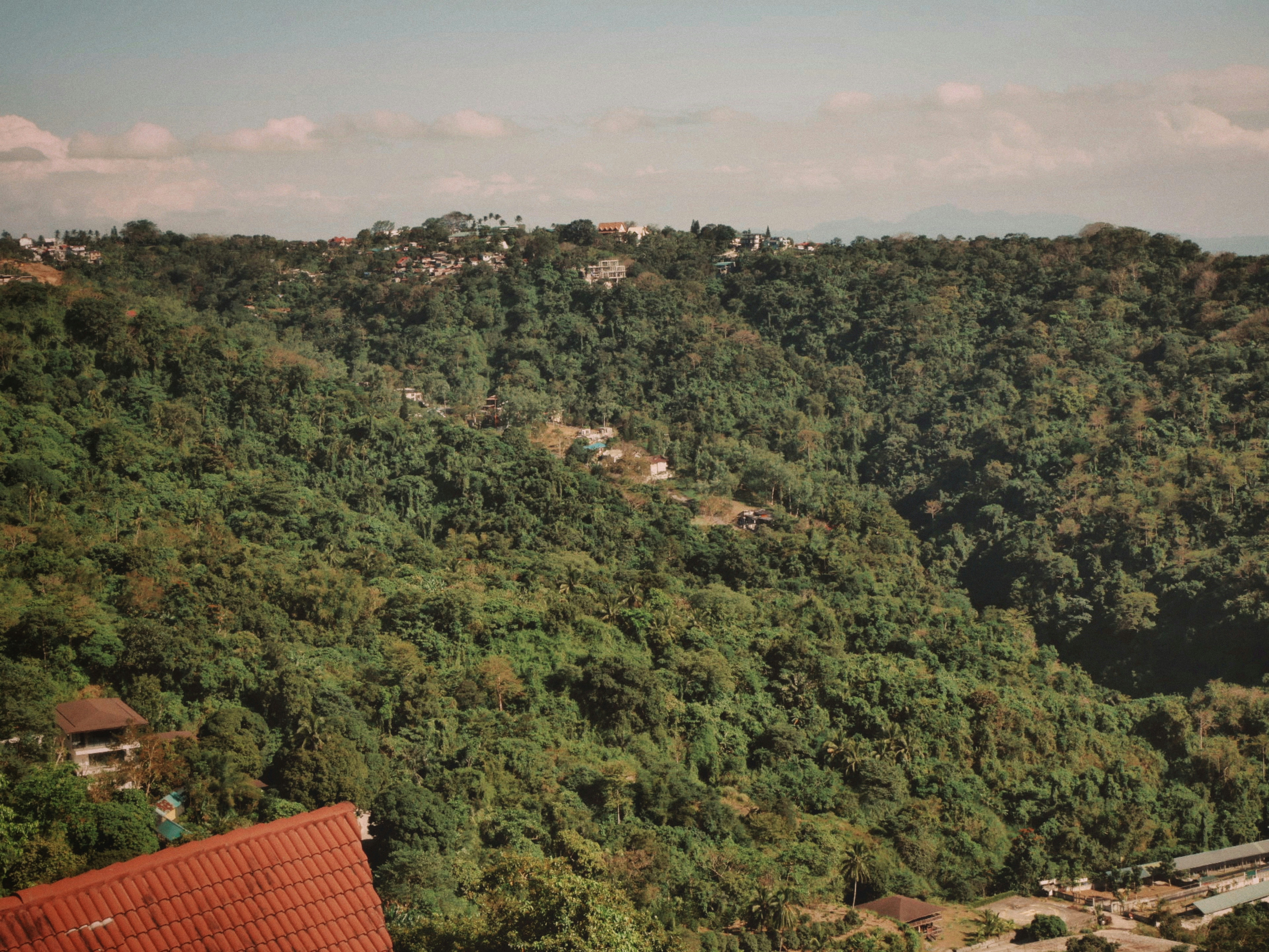 Photo by jafetbrnephotos