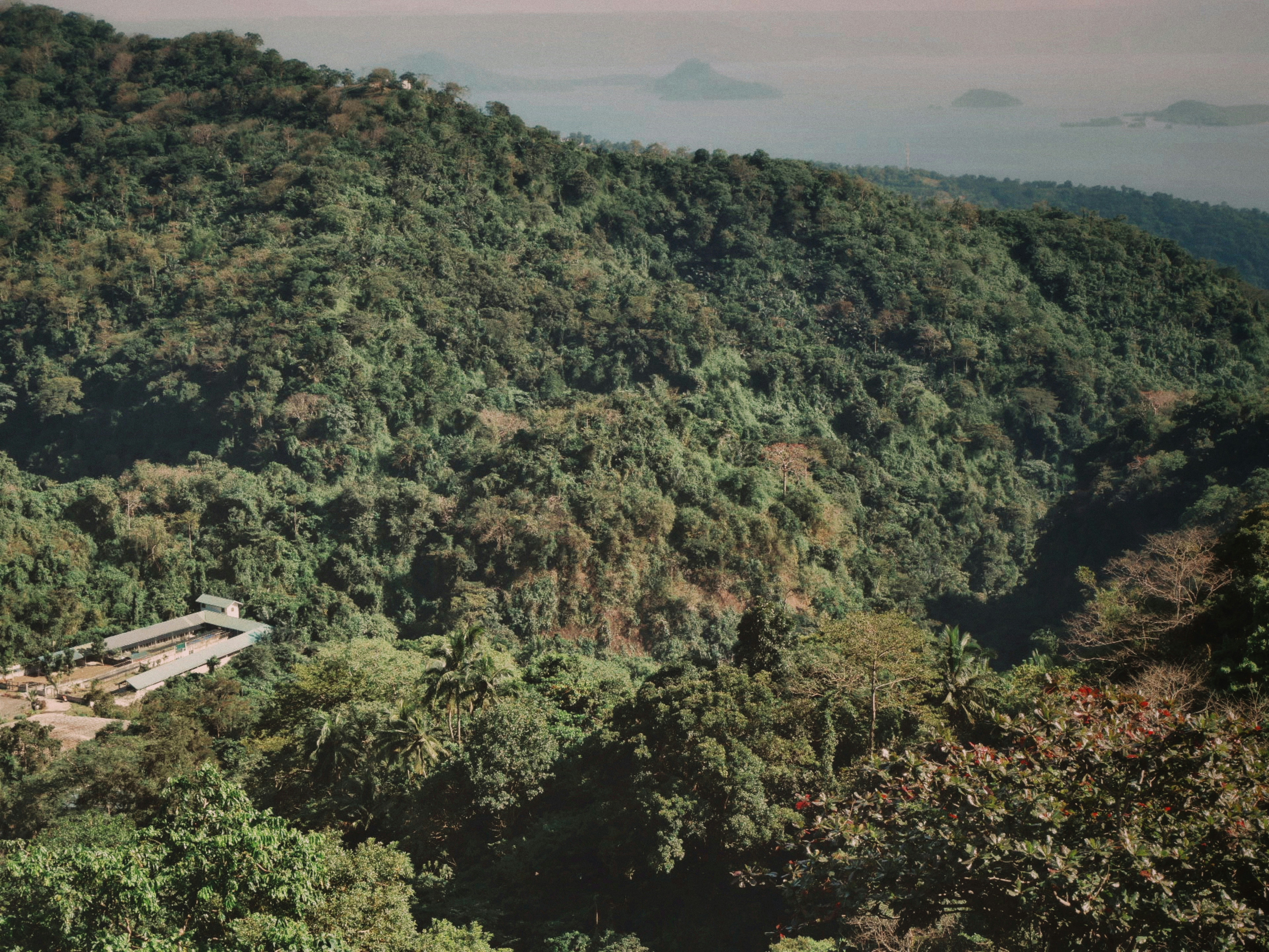 Photo by jafetbrnephotos