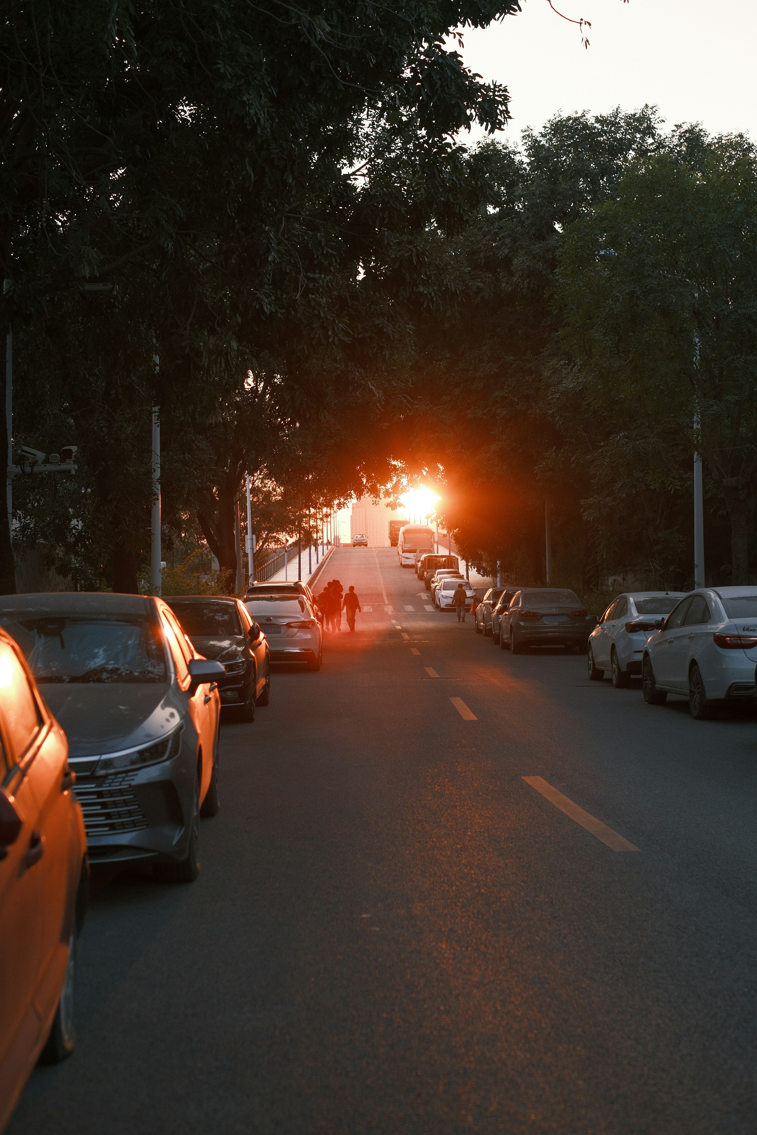 Assicurazione auto - veicolo su strada