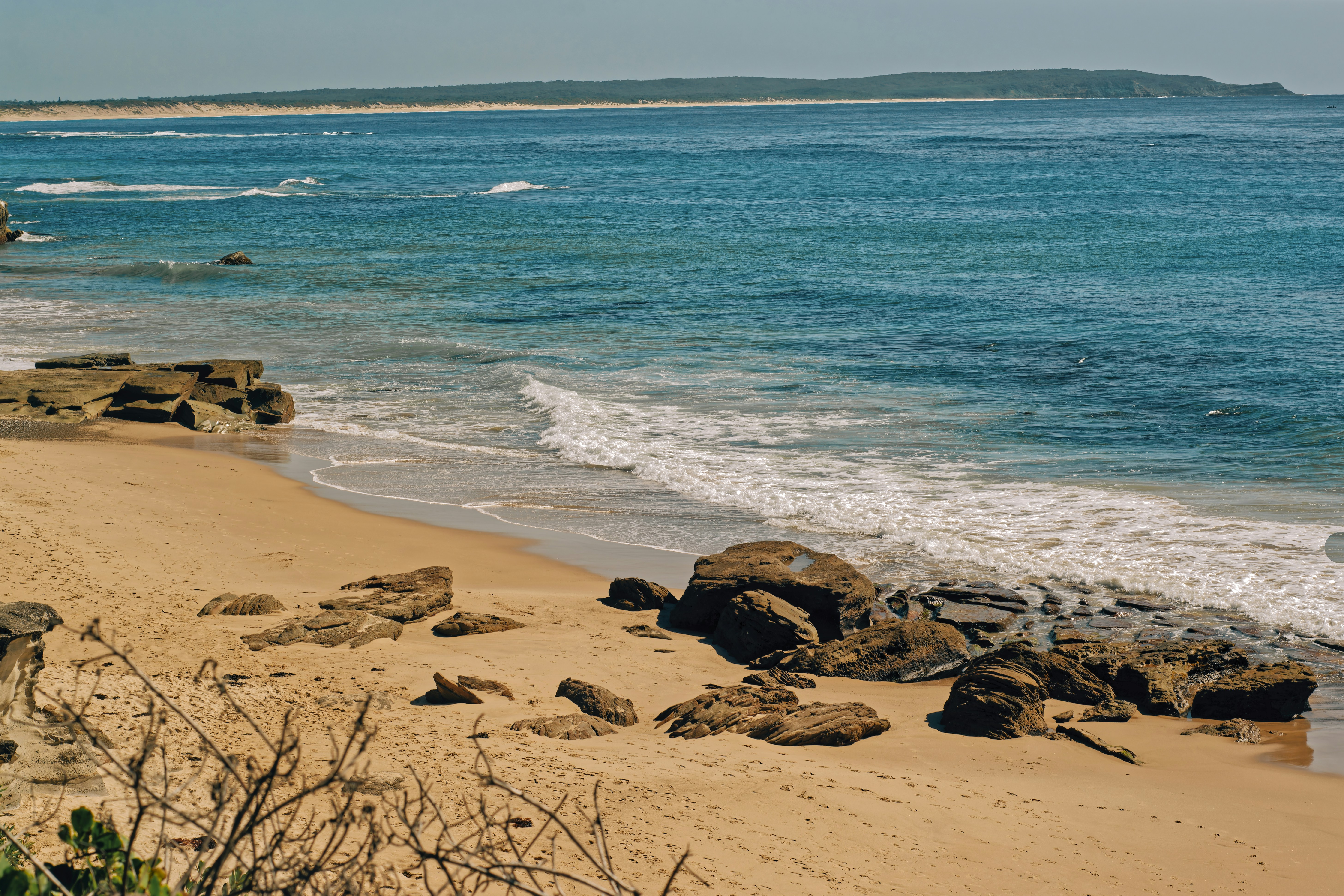 Photo by nicolescapturedmoments