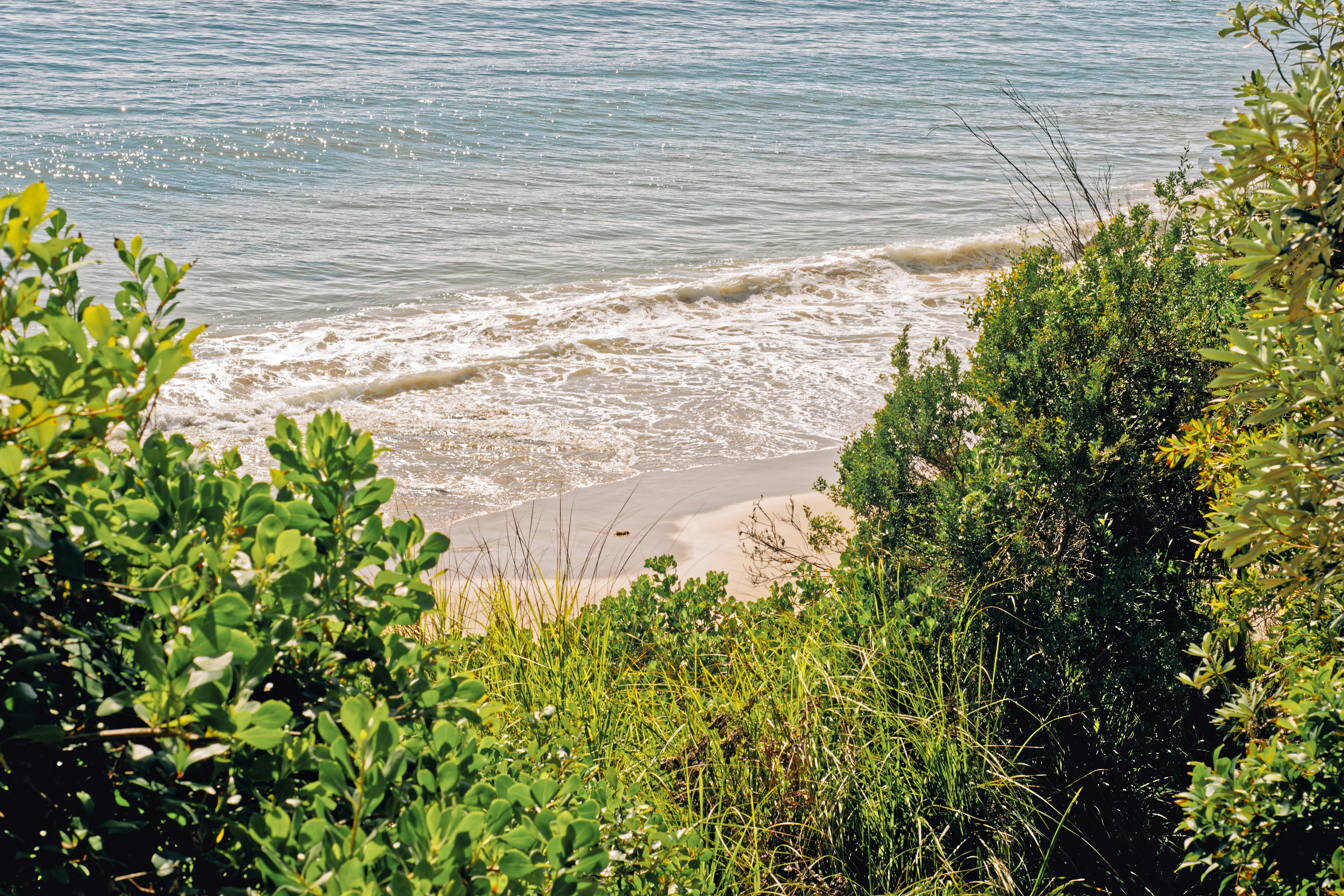 Photo by nicolescapturedmoments