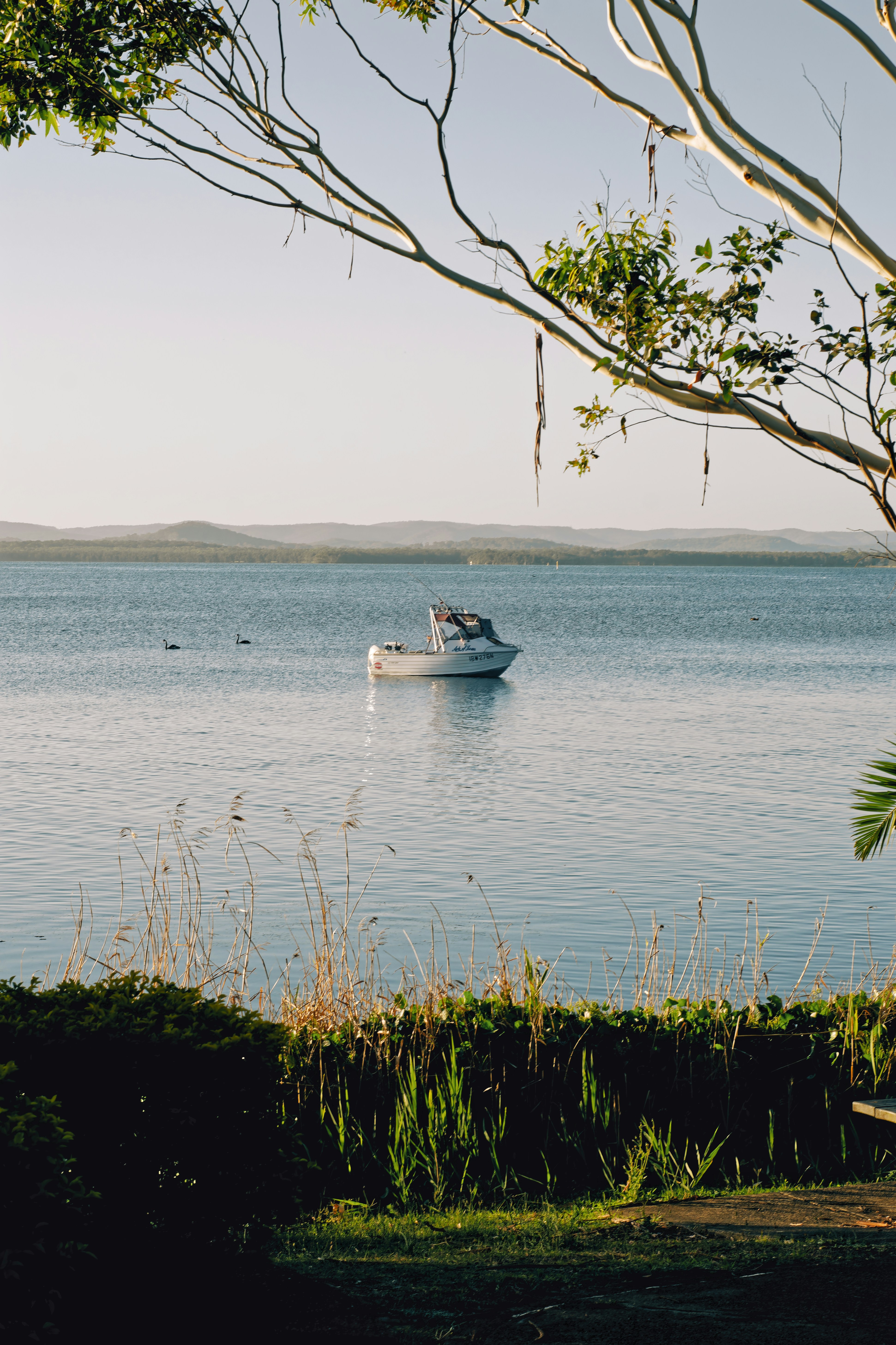 Una barca bianca galleggia su un lago blu e calmo.