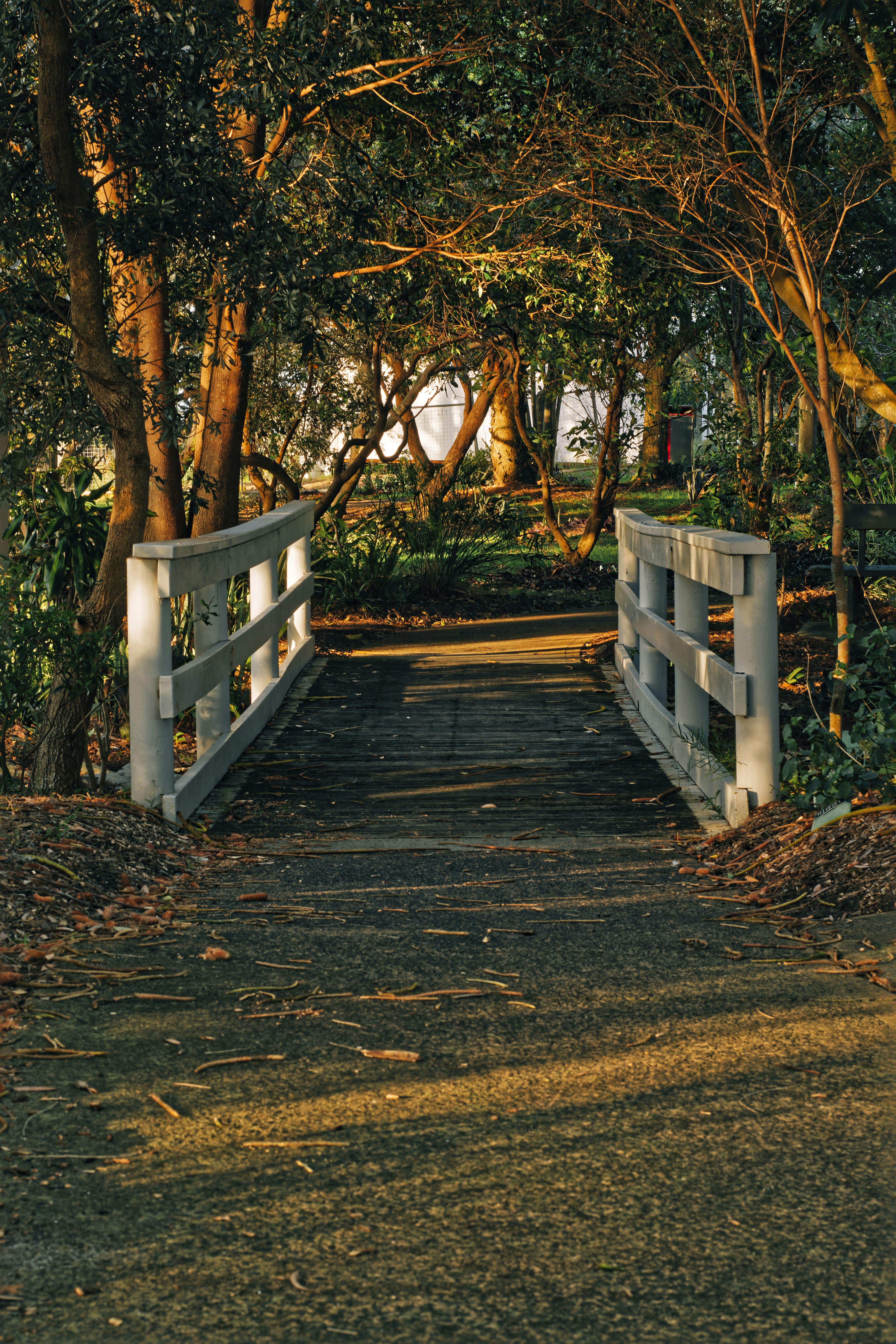 Photo by nicolescapturedmoments