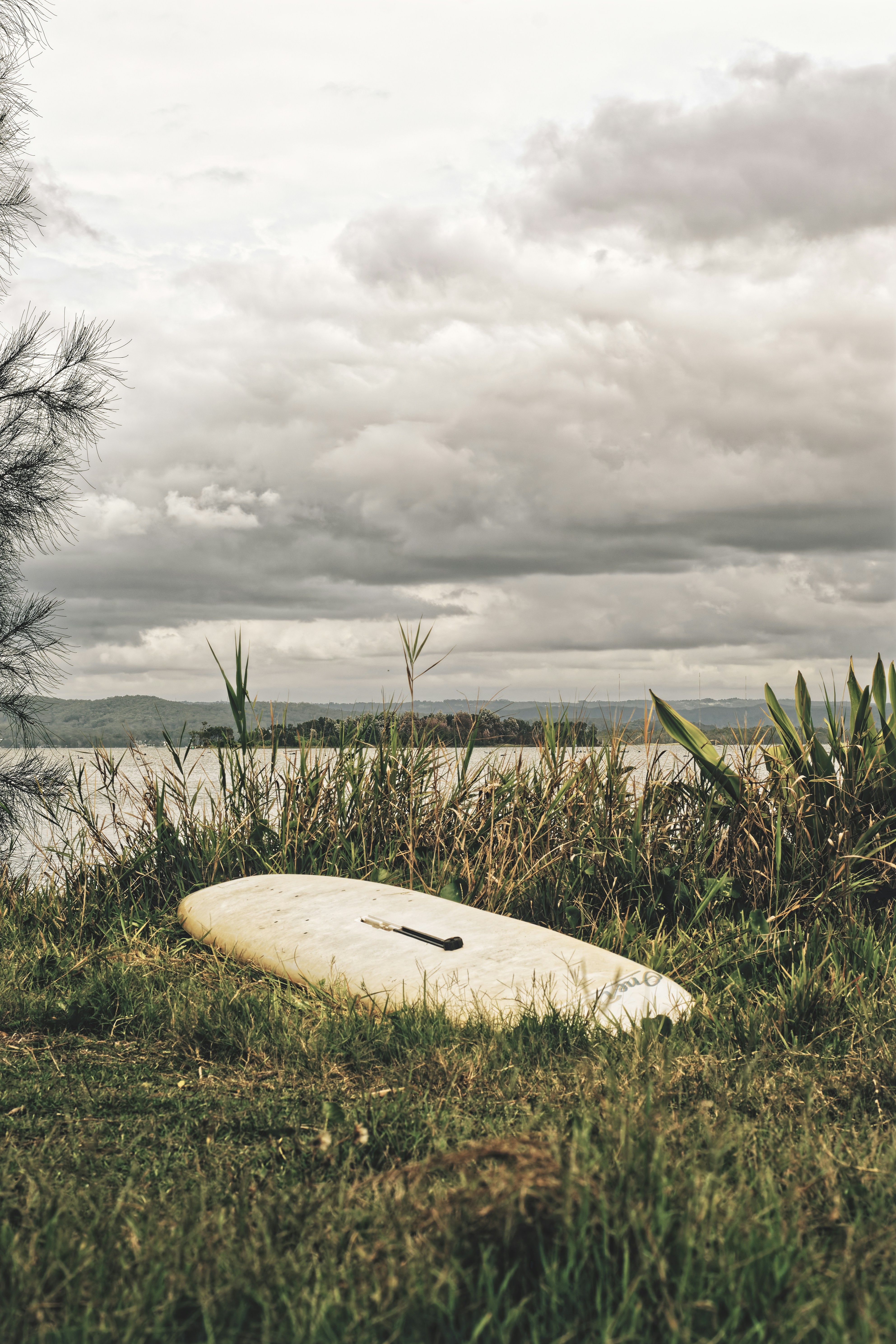 Tavola da surf appoggiata sulla riva erbosa con acqua calma