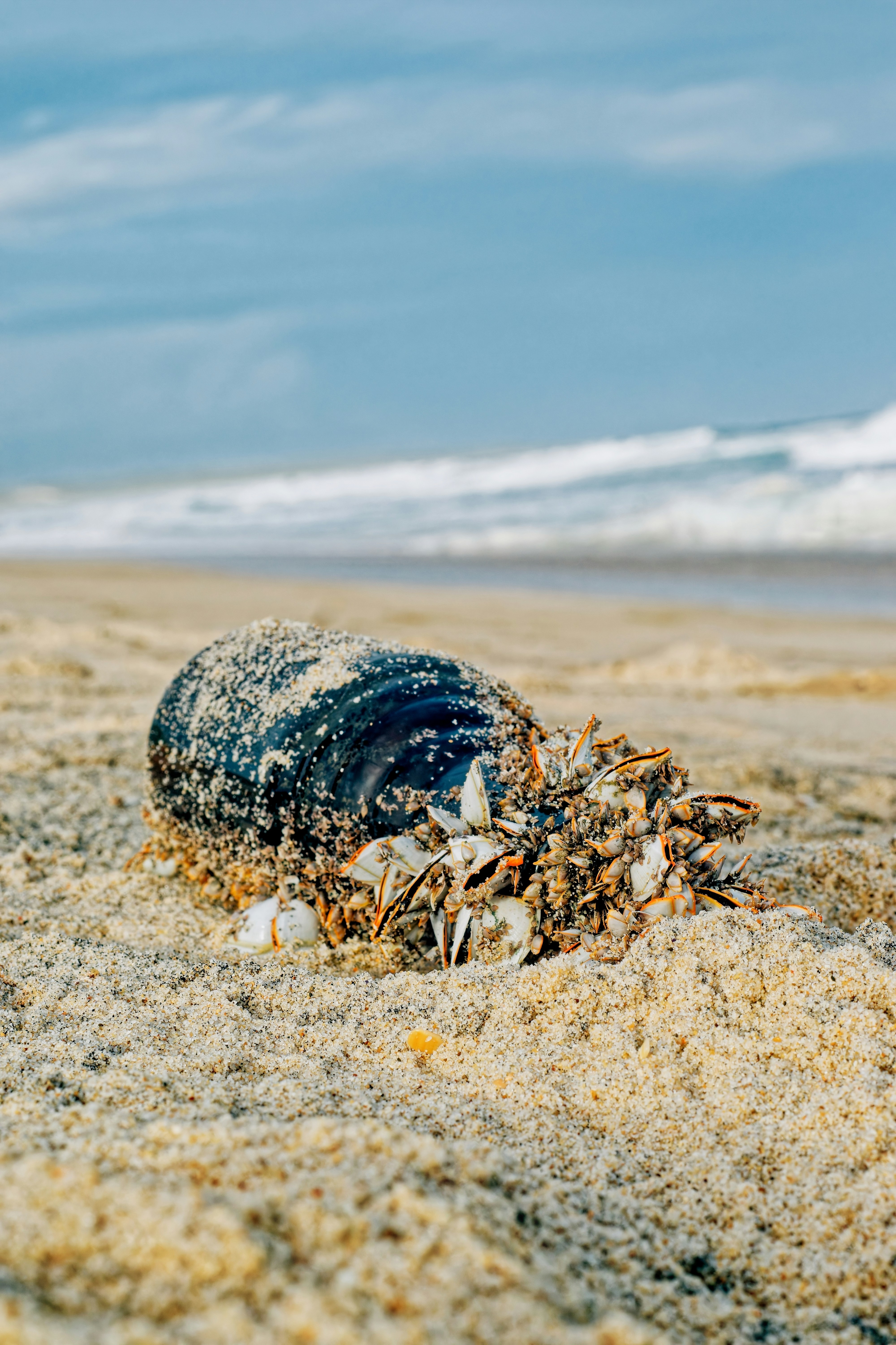 Bottiglia coperta di conchiglie su una spiaggia sabbiosa