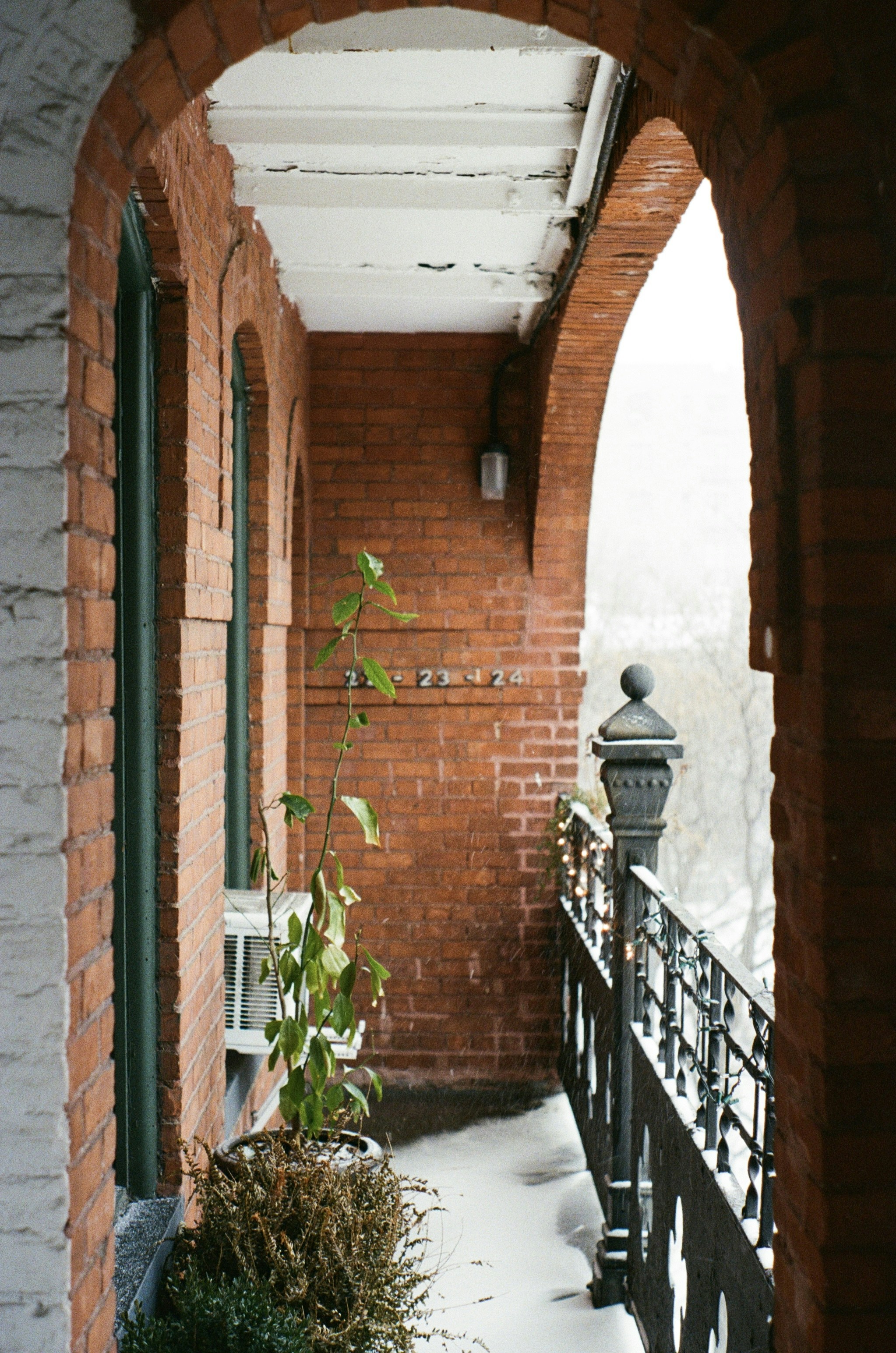 Photo by bradleyandroos