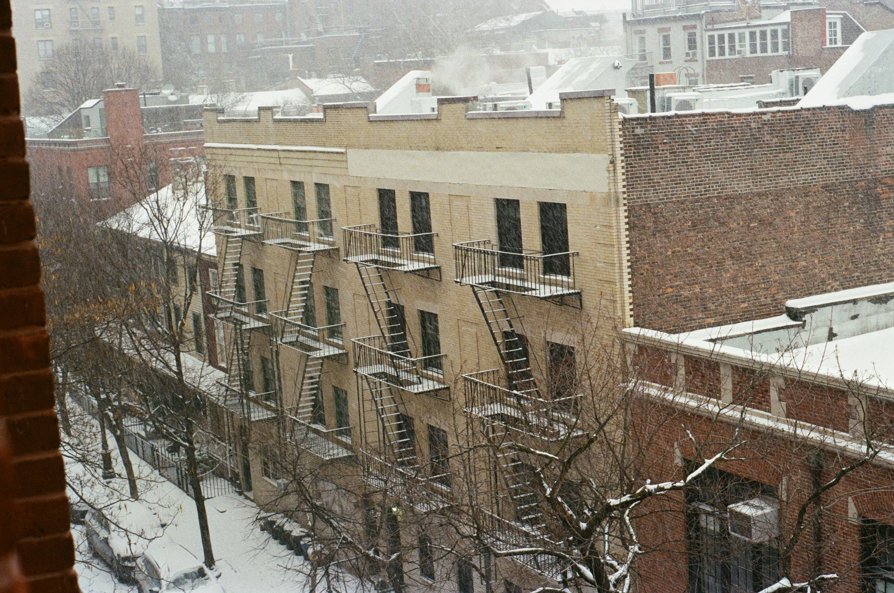 Photo by bradleyandroos