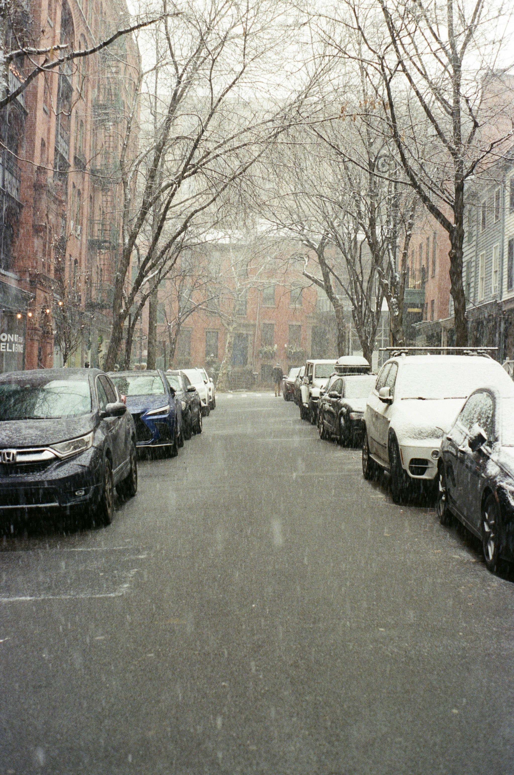 Photo by bradleyandroos