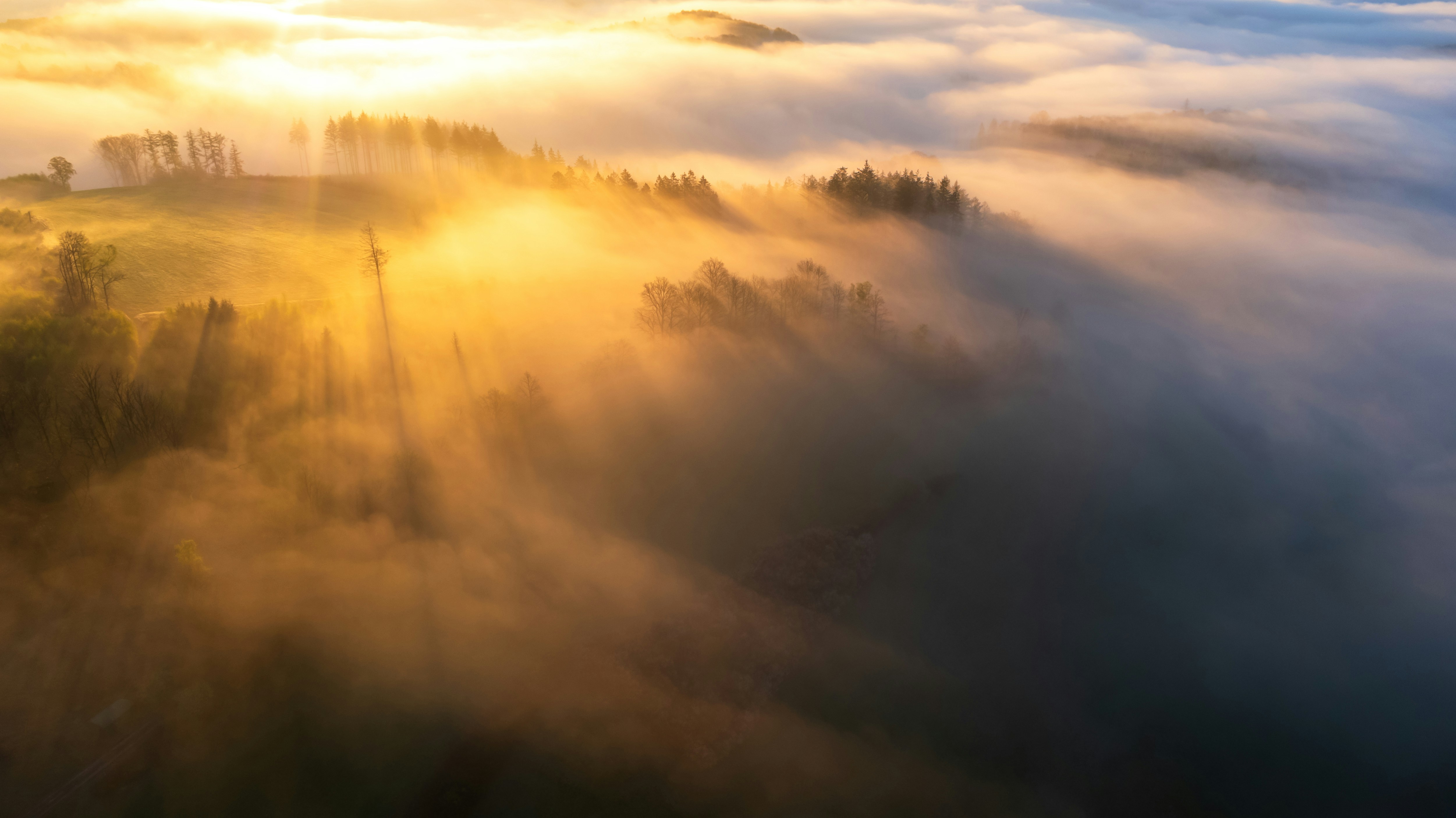 Golden sunbeams pierce through morning fog over trees