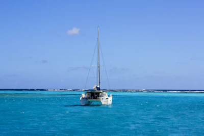 Luxury catamaran to the turtle sanctuary