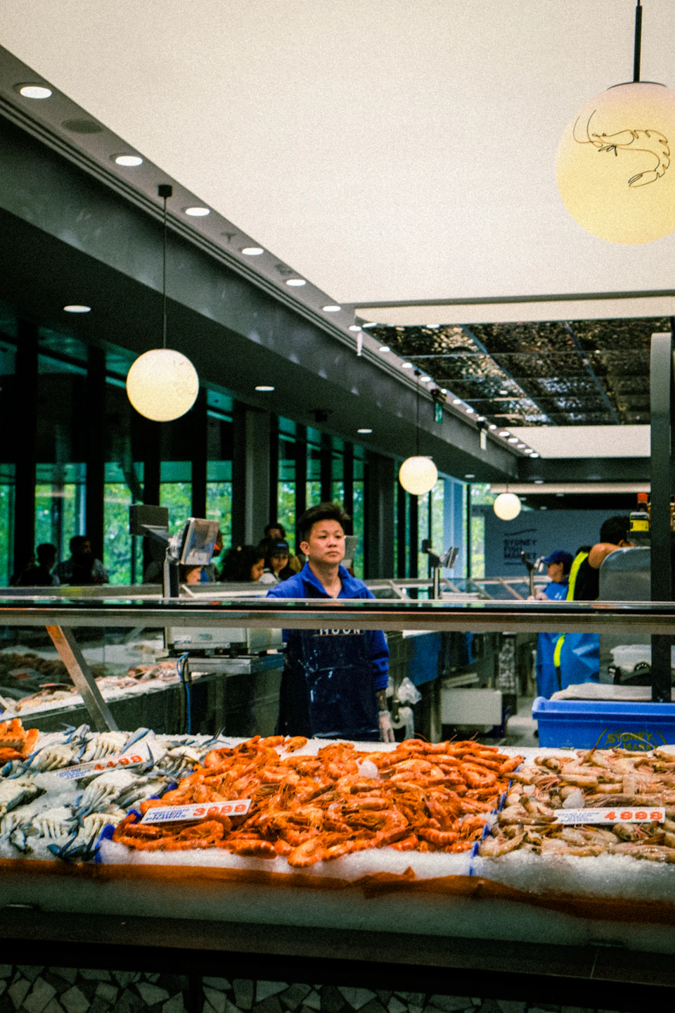 The Sydney Fish Market, the place to buy spring seafood