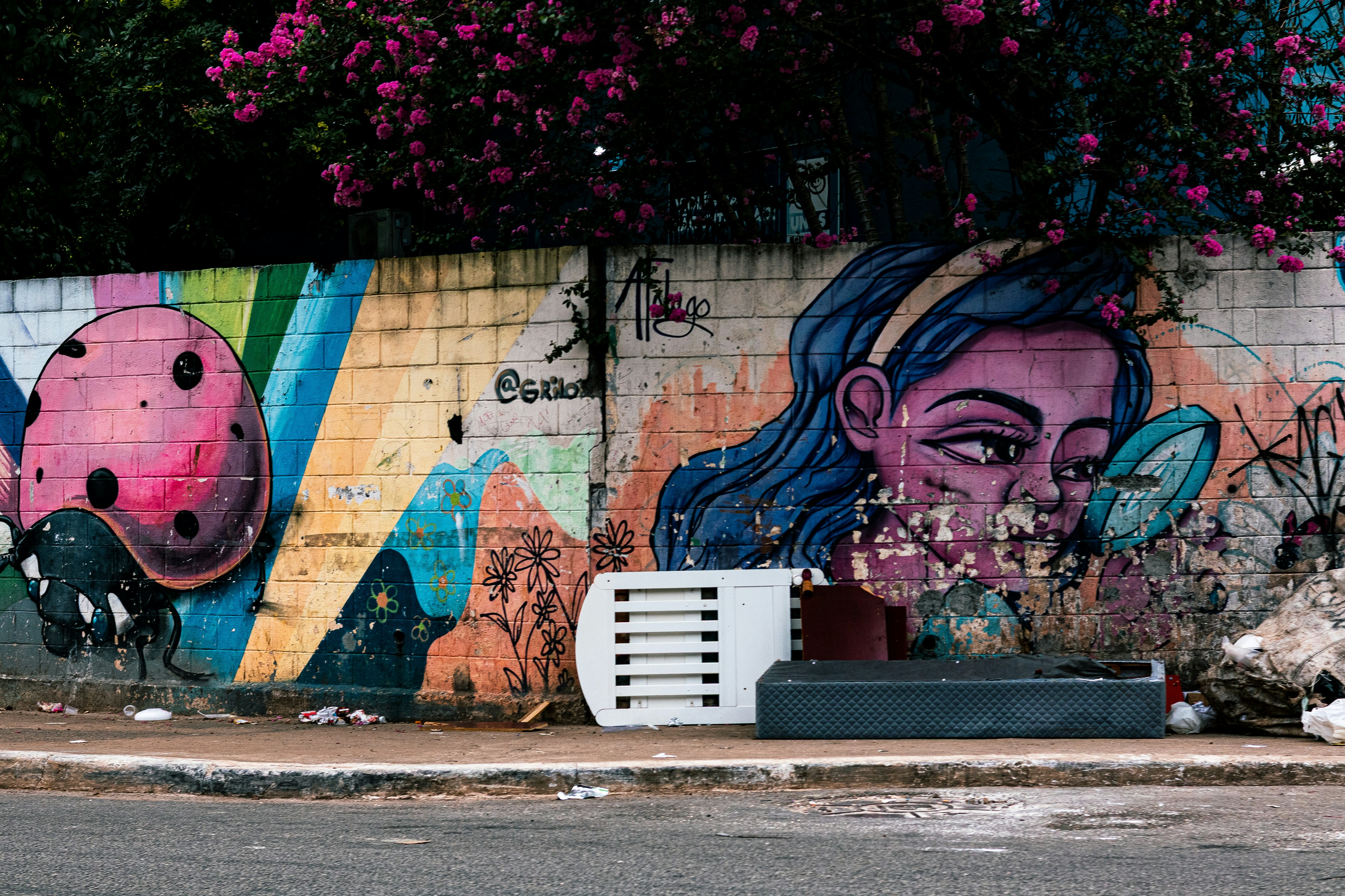 Westside Trail Murals Project Celebrates 50 Local Artists in Largest Public Art Installation Yet