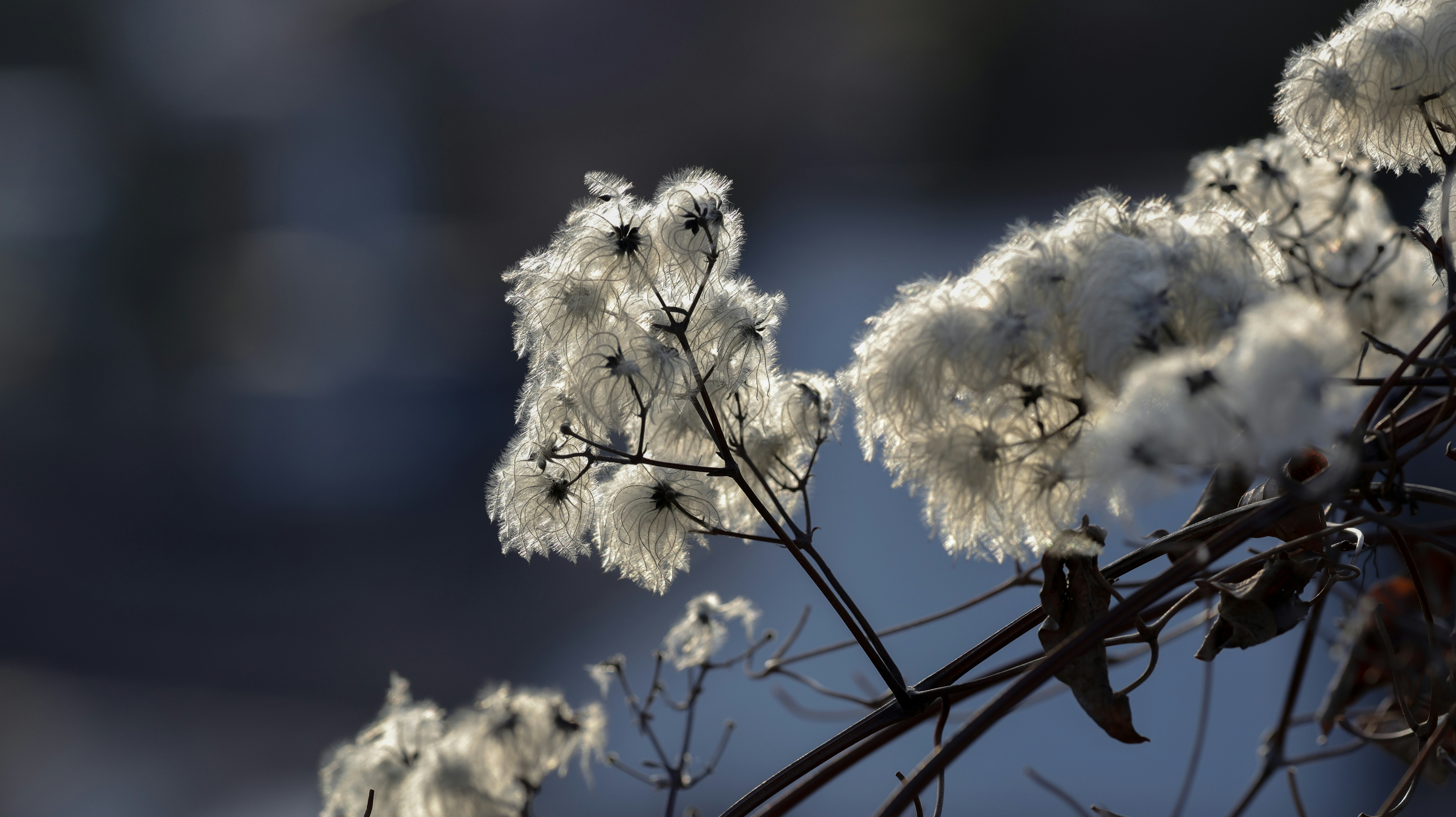 Photo by valomukitse