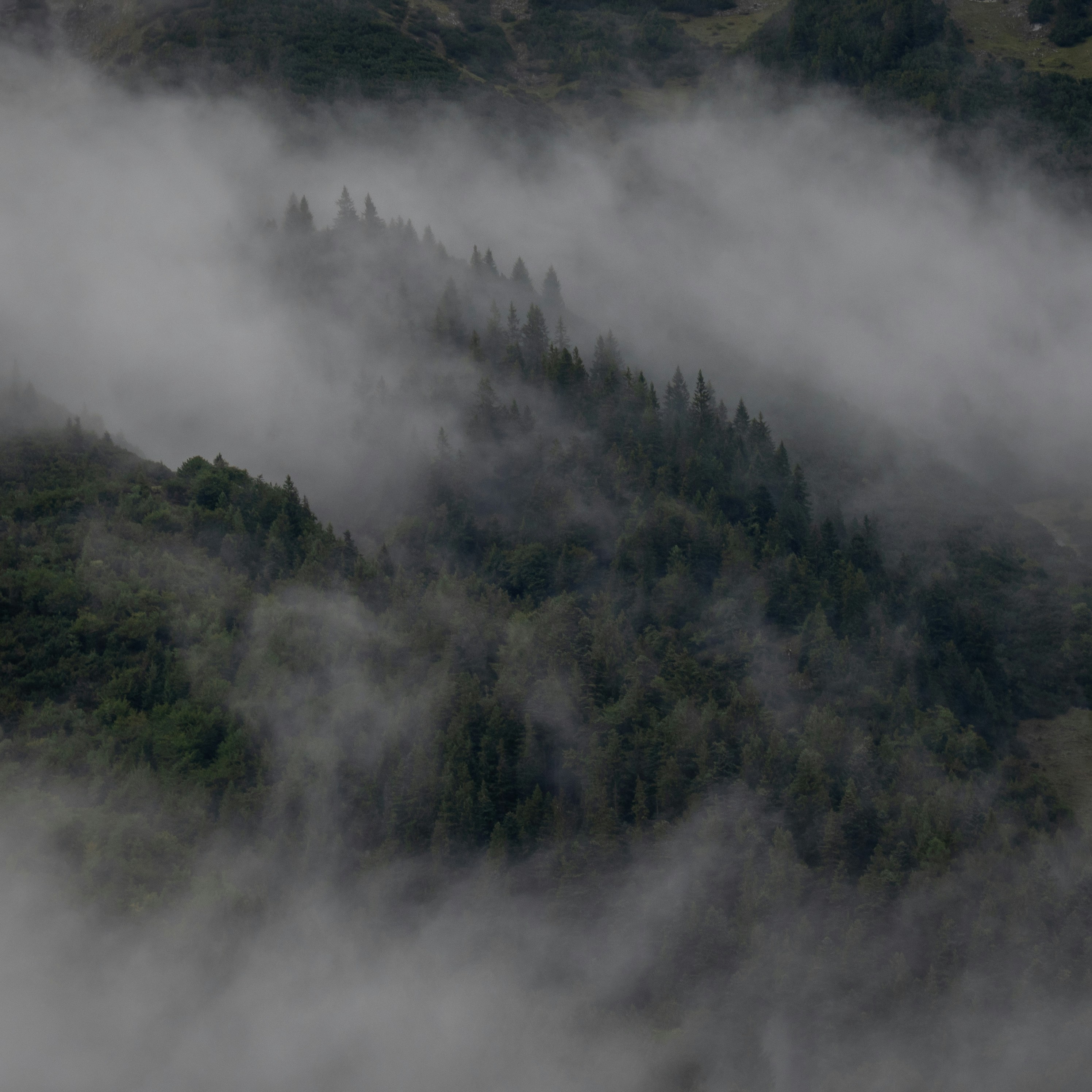 Photo by intricateexplorer