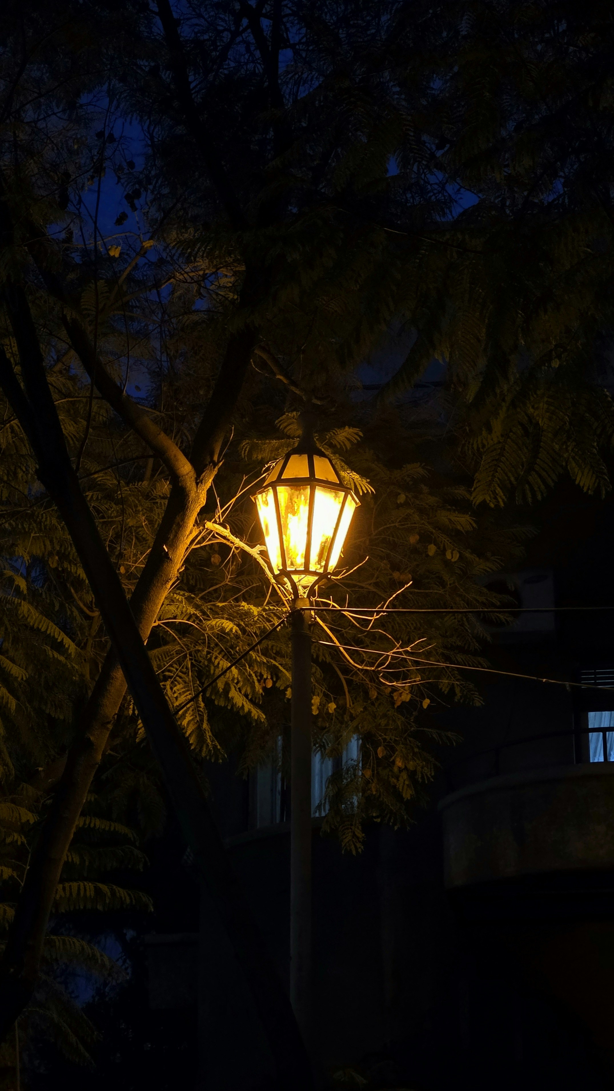 A vintage street lamp glows at night.