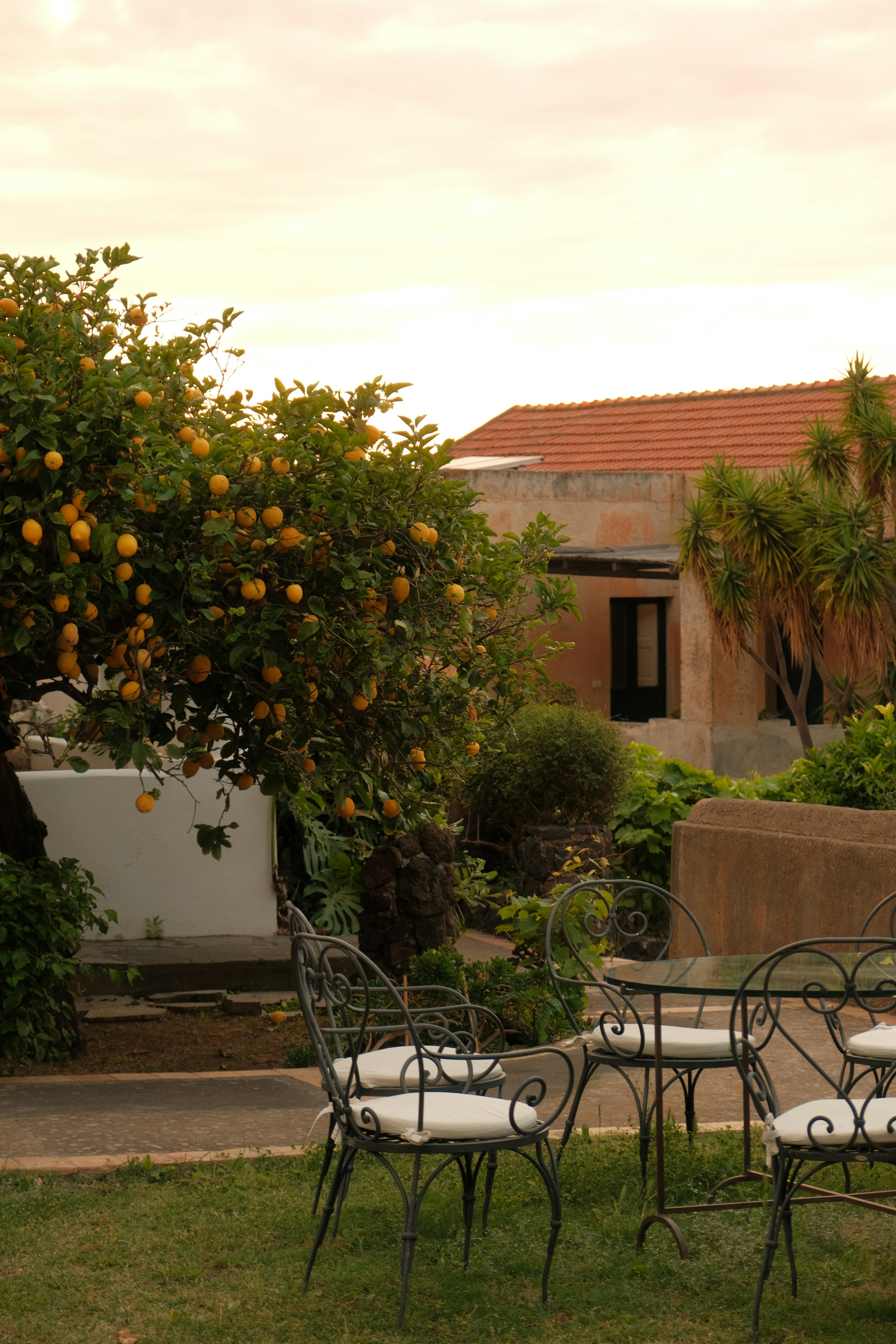 Group coaching circle of founders collaborating with a facilitator