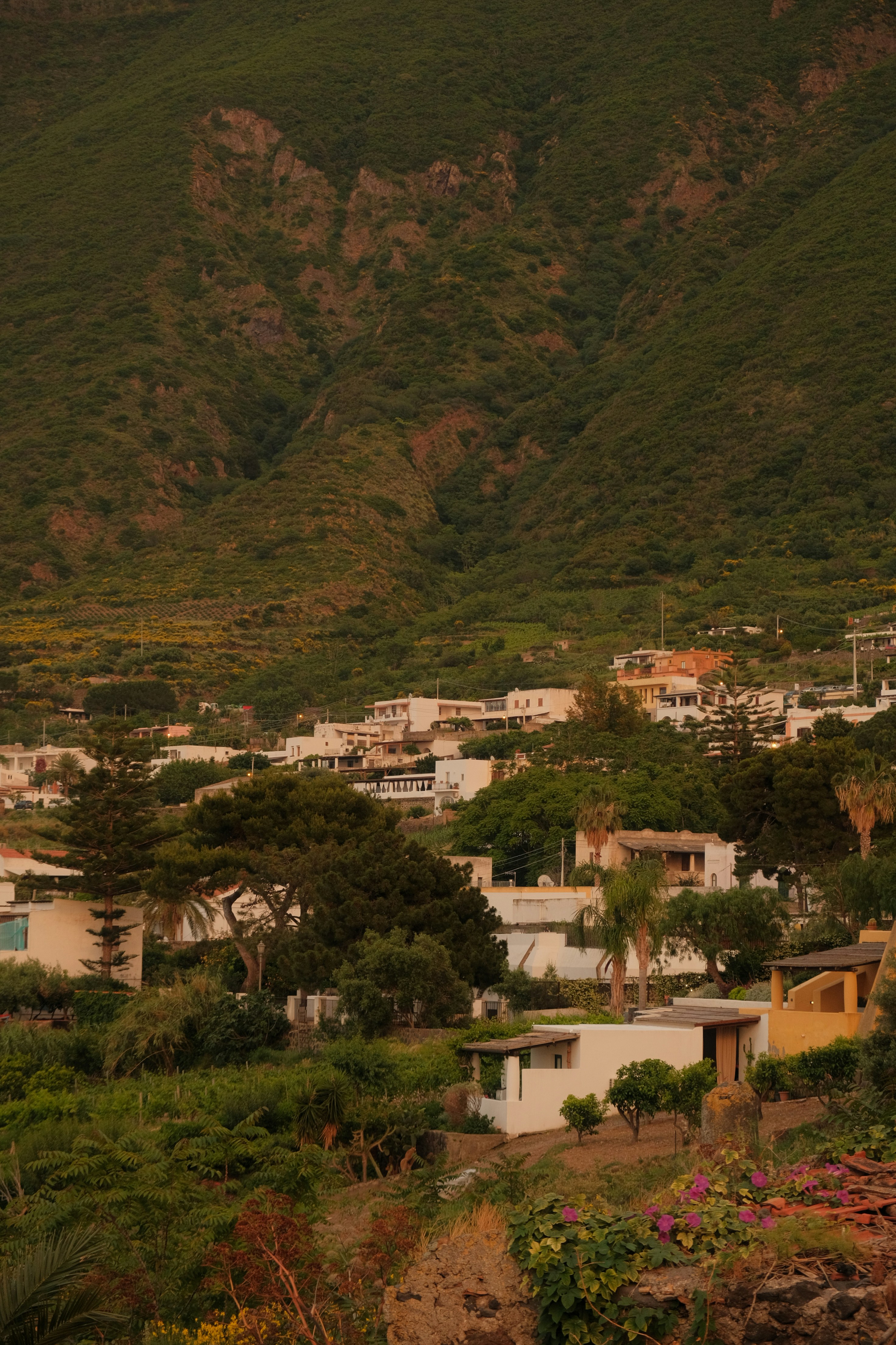 Photo by sarahabilova