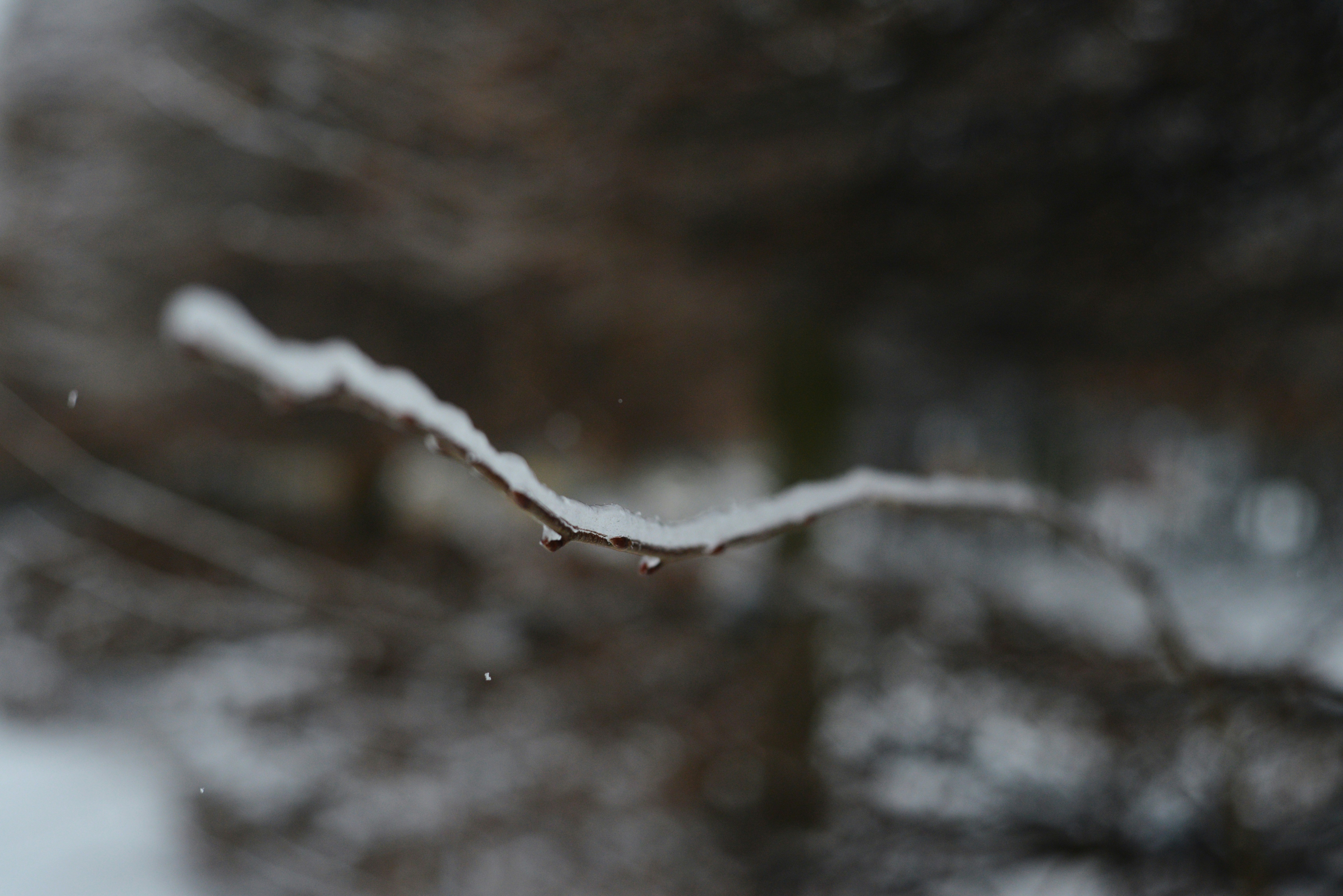 Photo by cherstve_pechivo