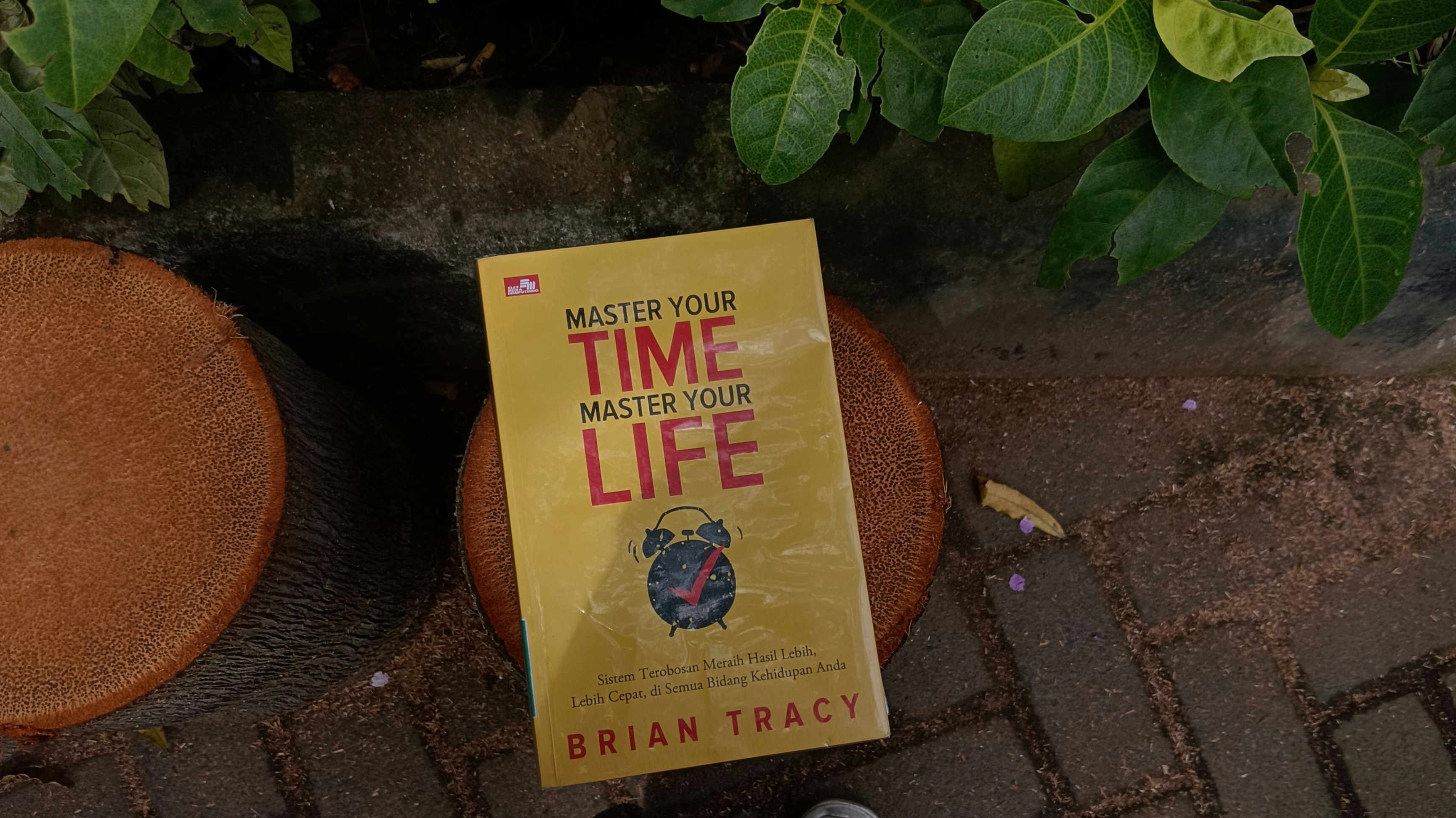 A yellow book titled "master your time, master your life"