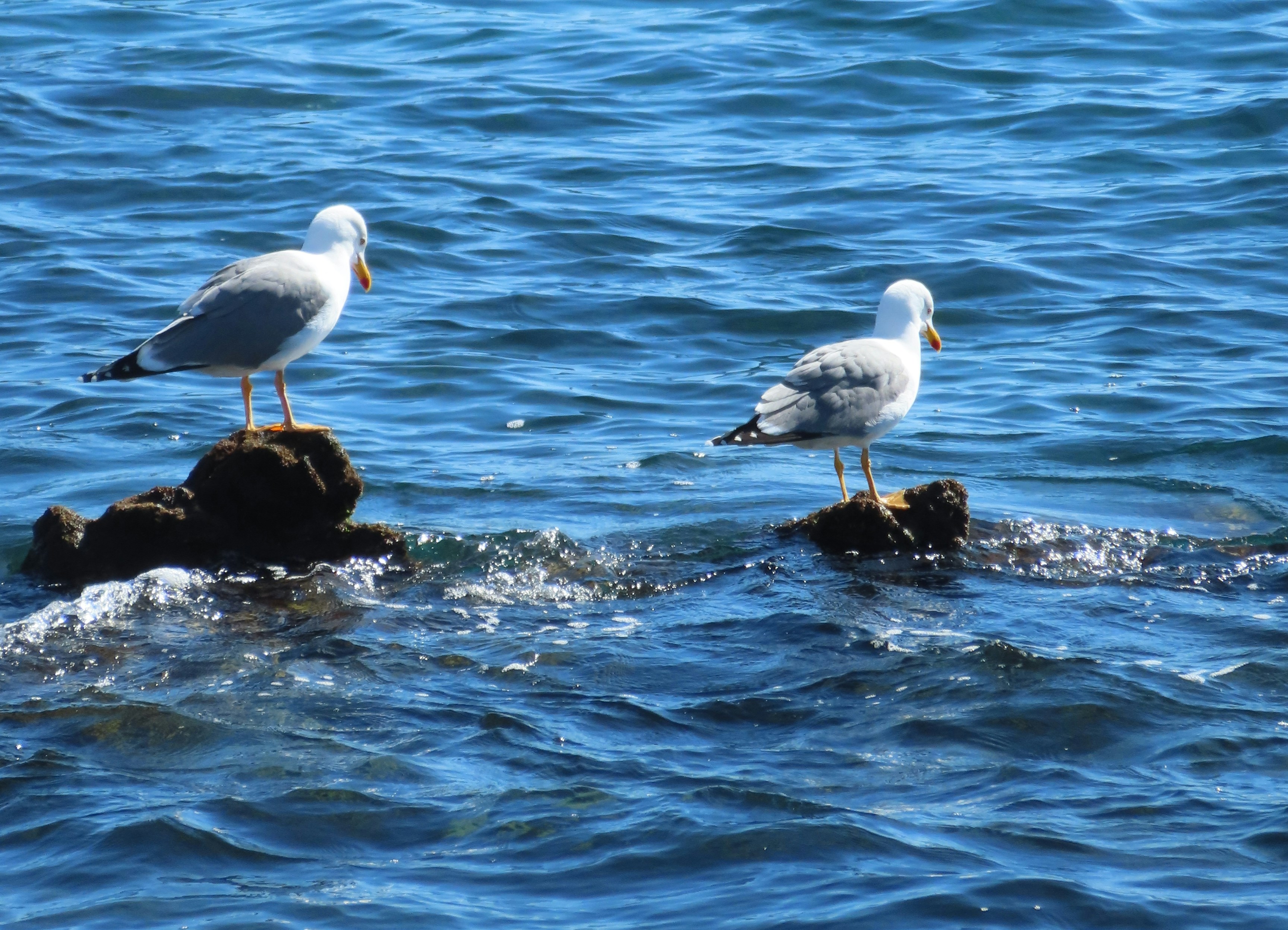 Photo by dieterrohmann