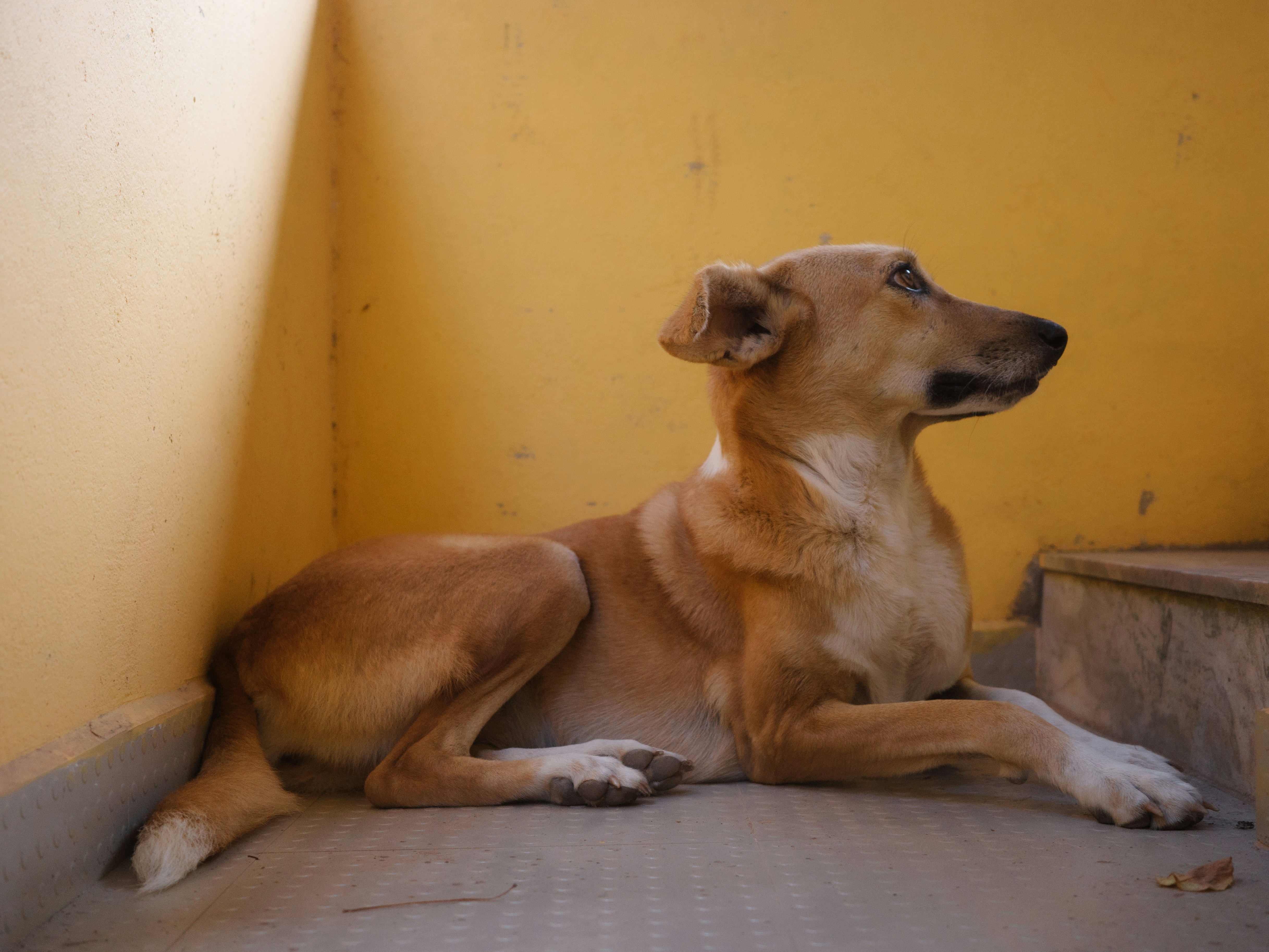 Photo by kidrahandco