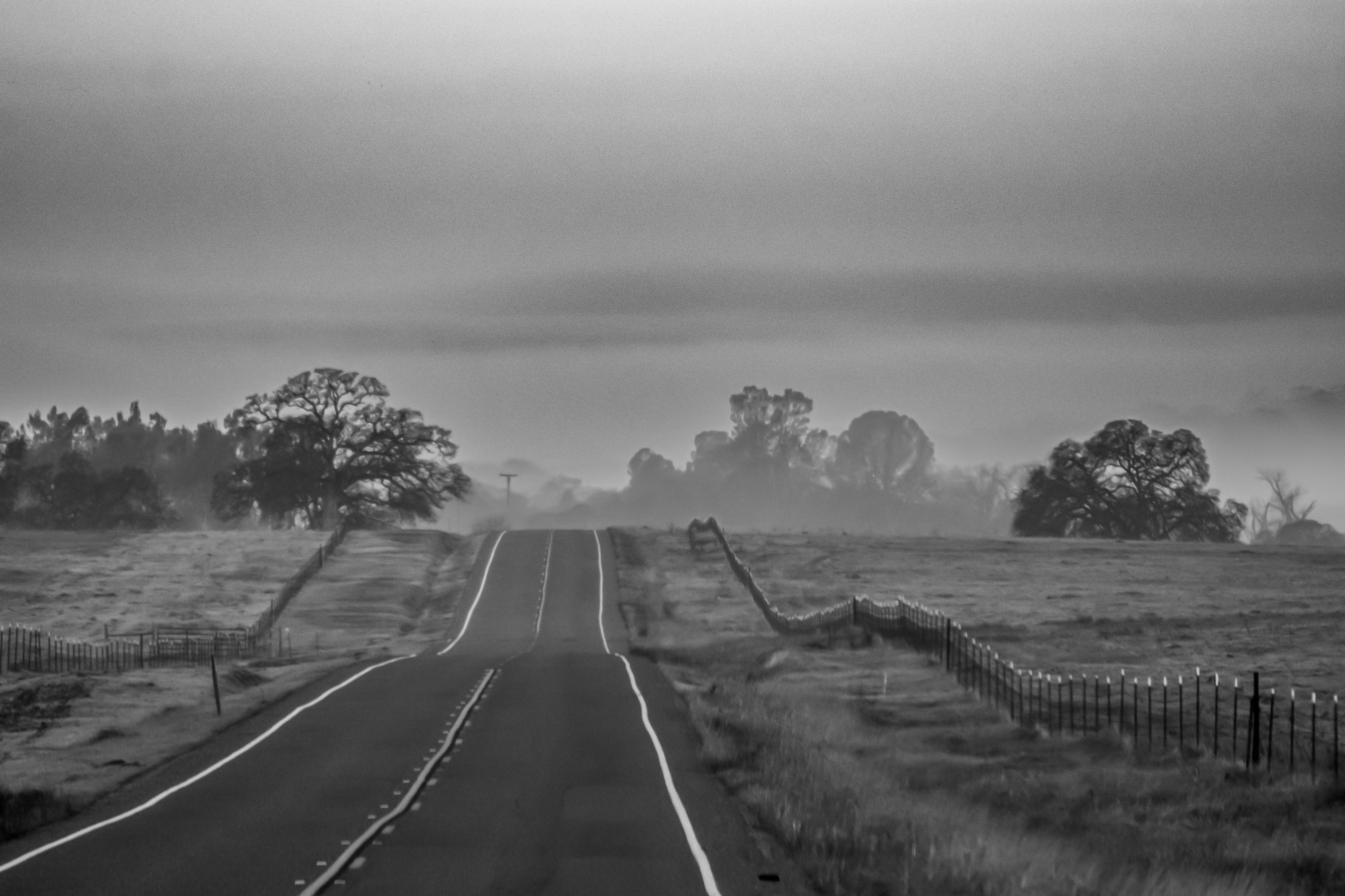 Photo by elisastonephotography