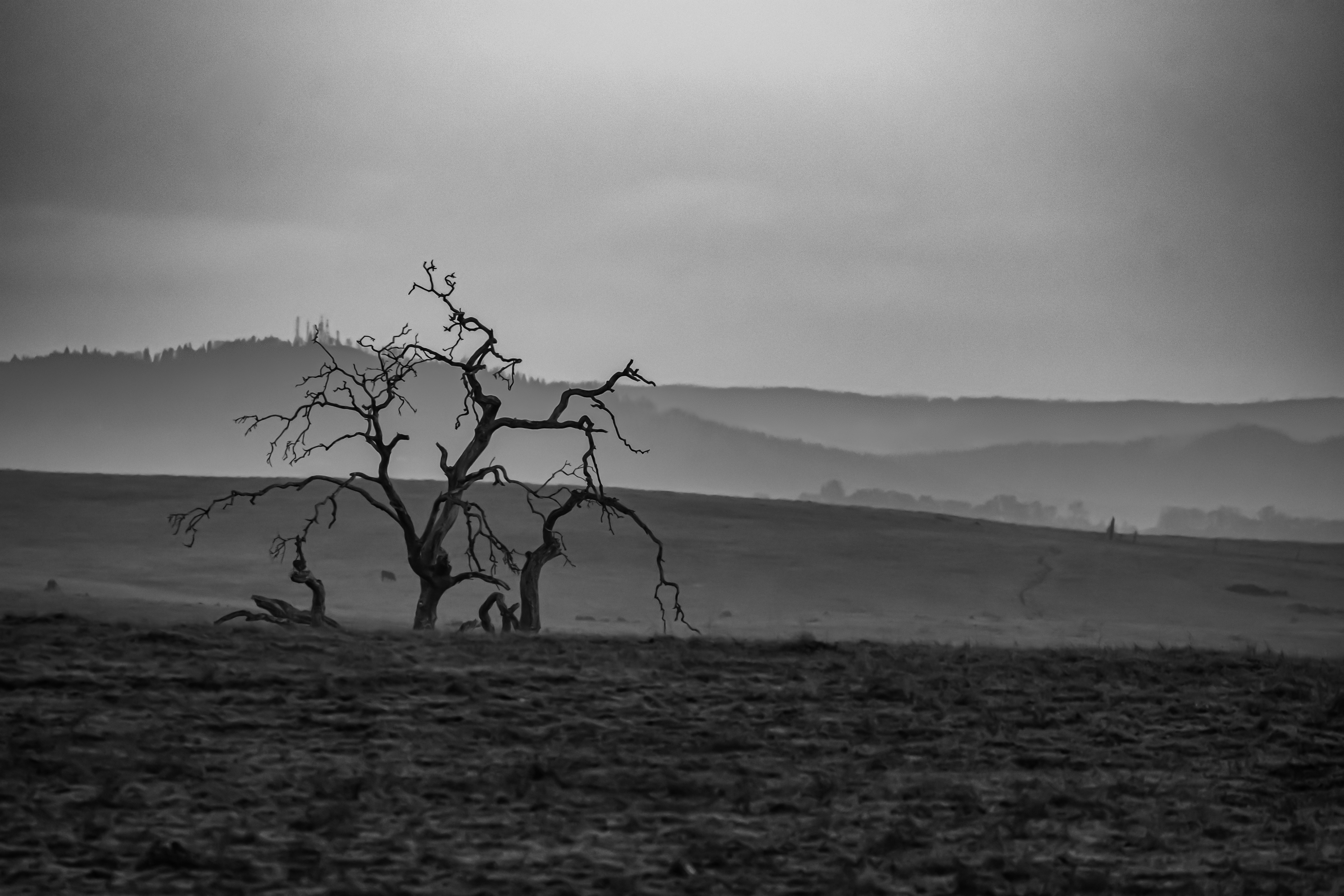 Photo by elisastonephotography