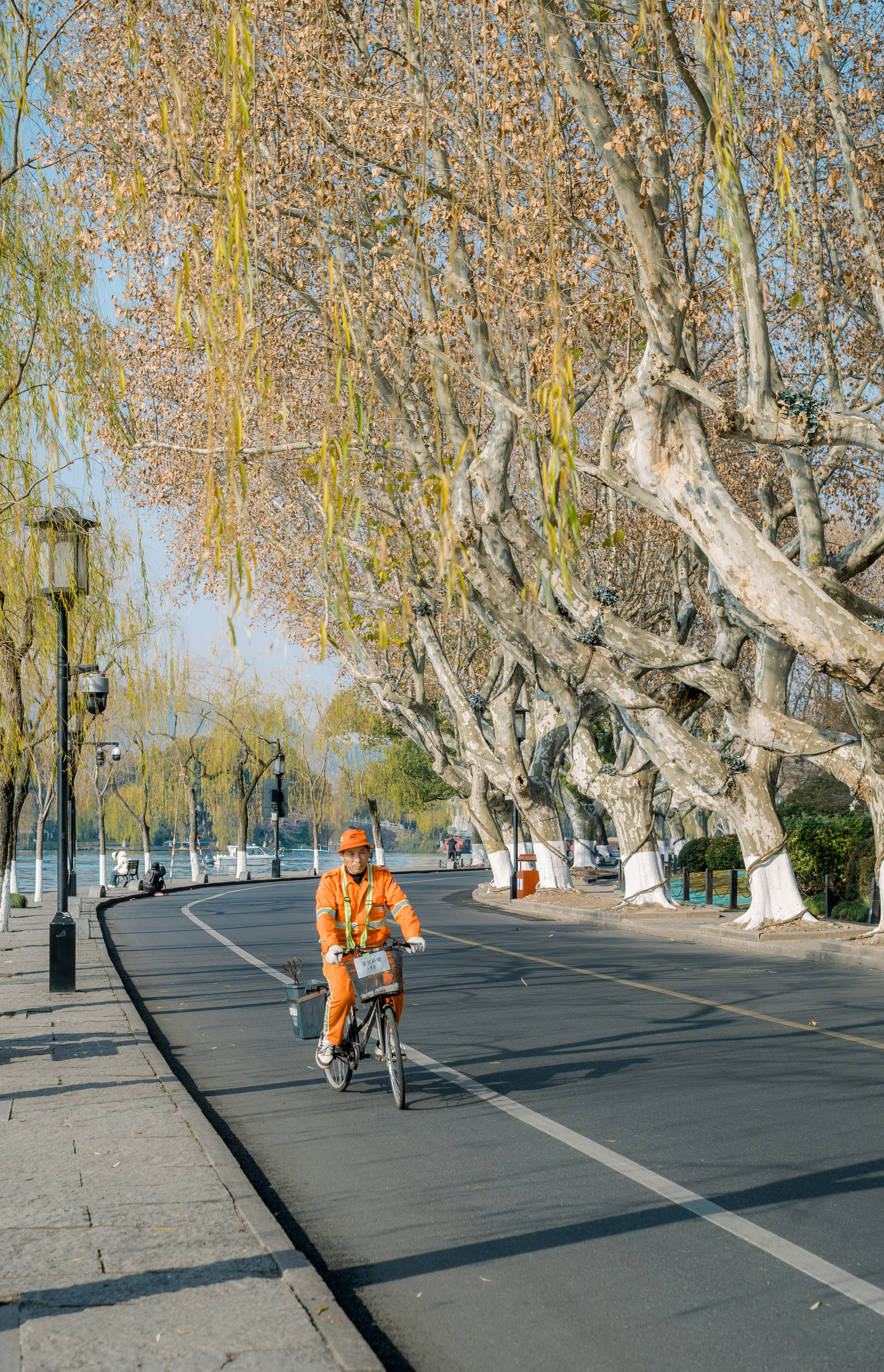Person in orange riding bicycle on tree-lined road