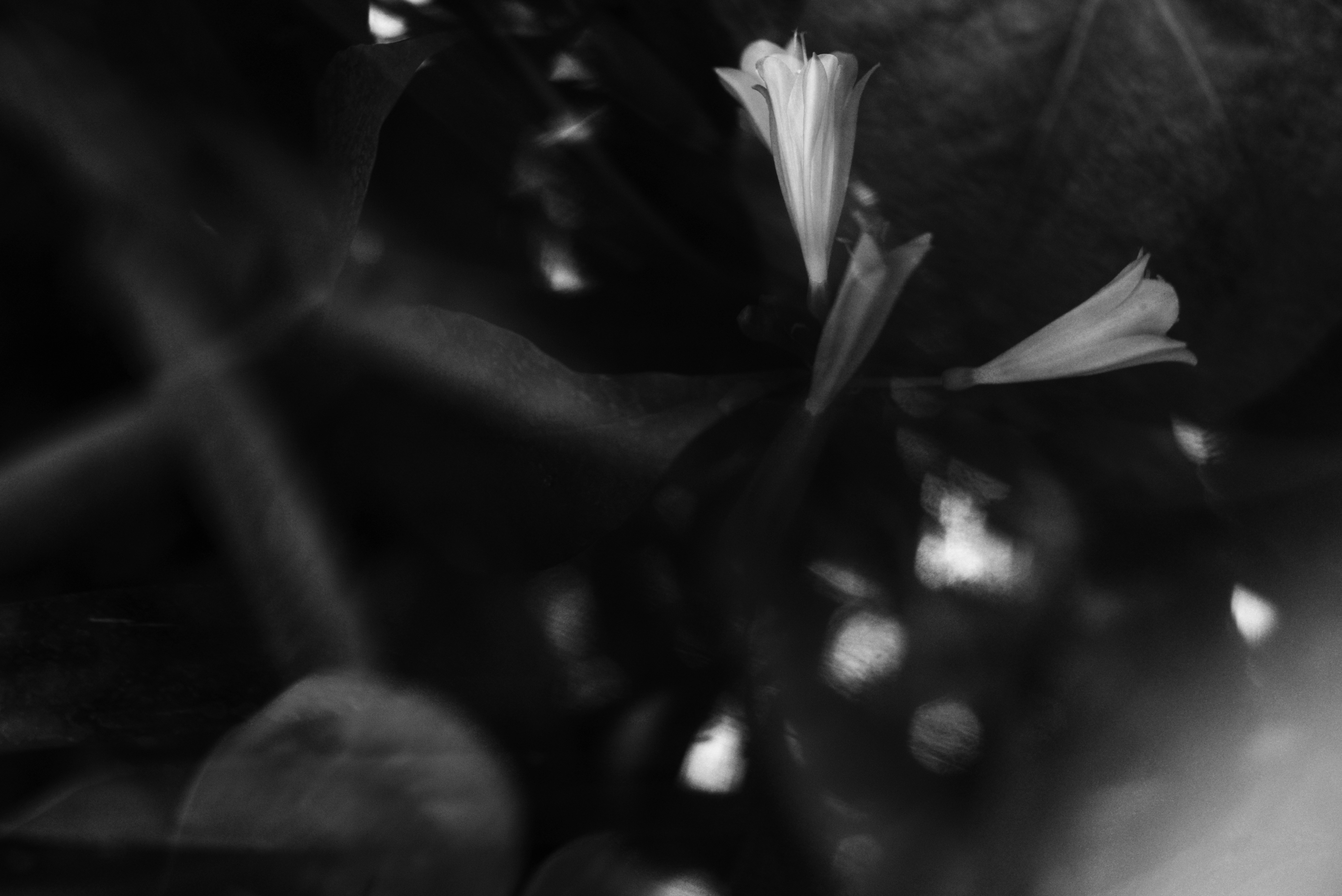 Photo by cherstve_pechivo