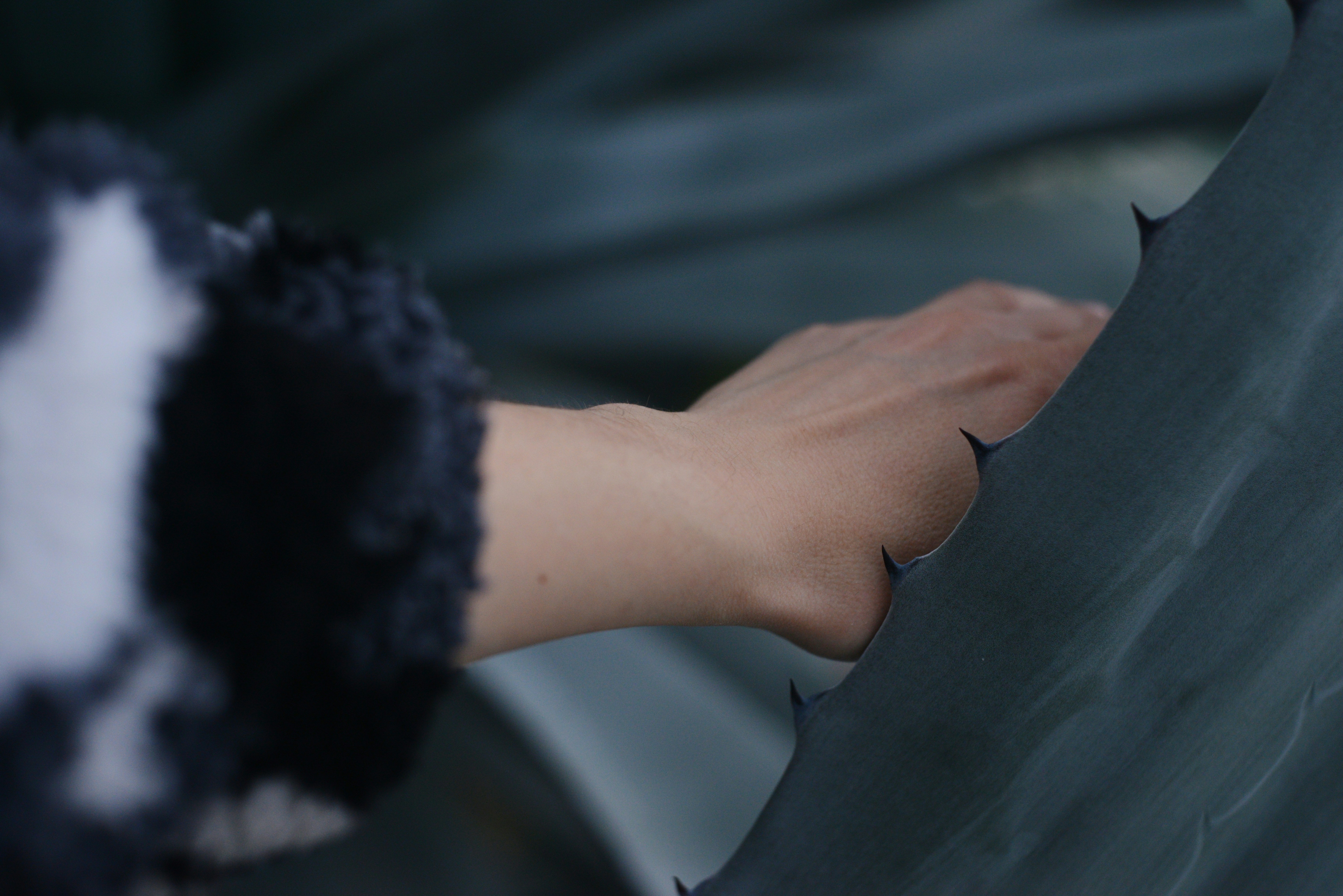 Photo by cherstve_pechivo