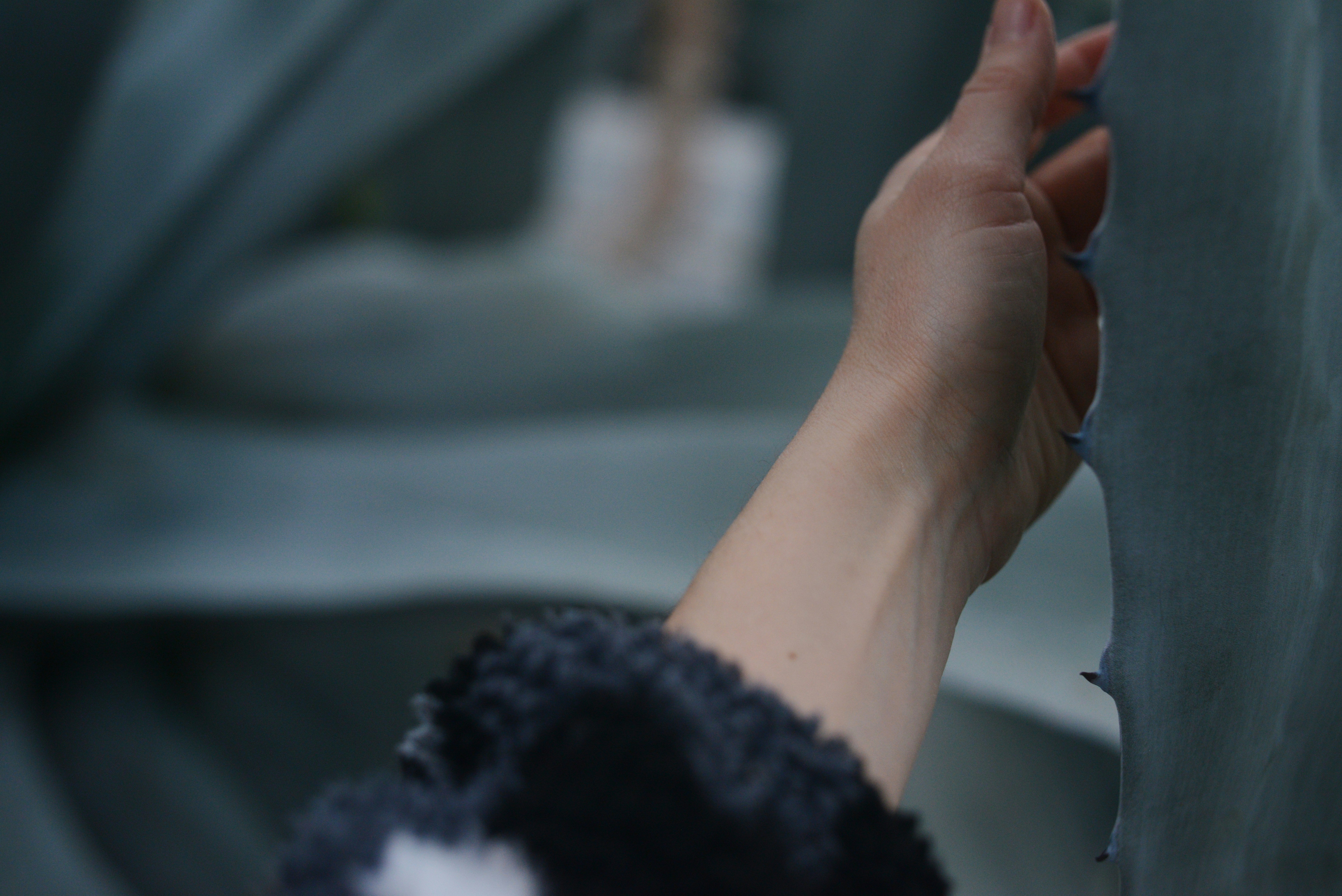 Photo by cherstve_pechivo