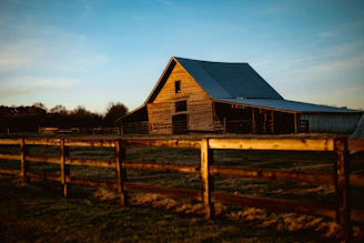Wooden barn with fence in golden hour light