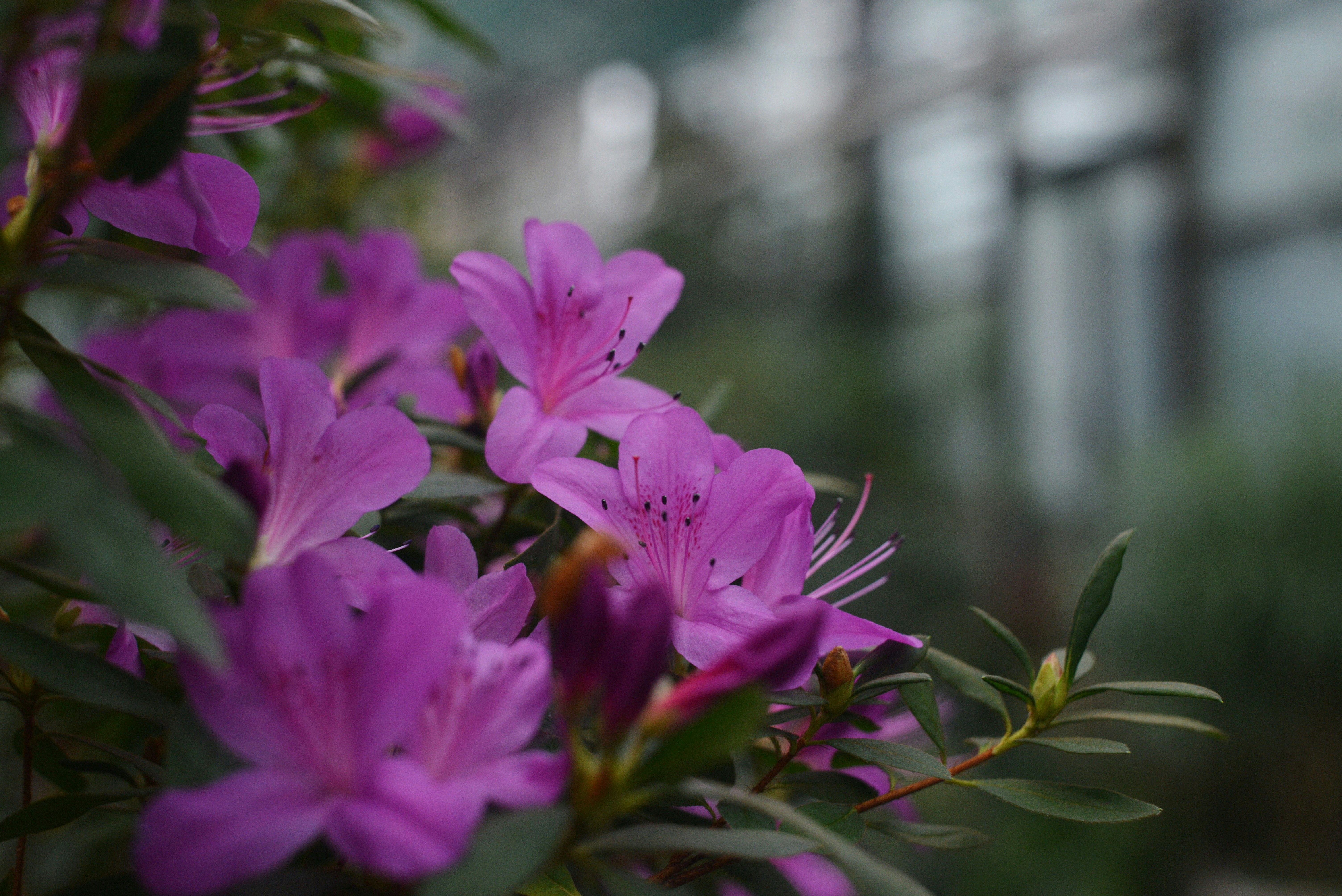 Photo by cherstve_pechivo