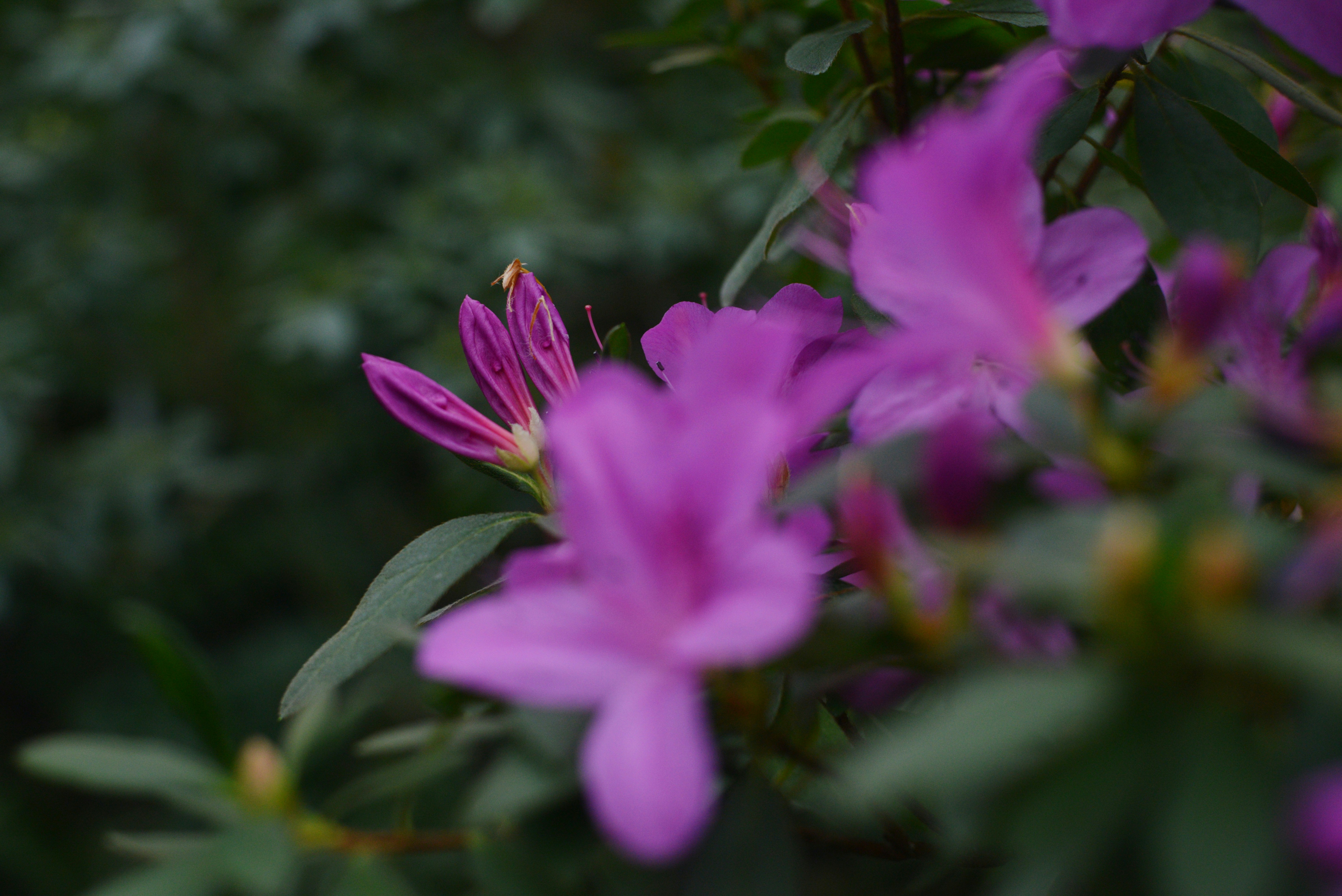 Photo by cherstve_pechivo