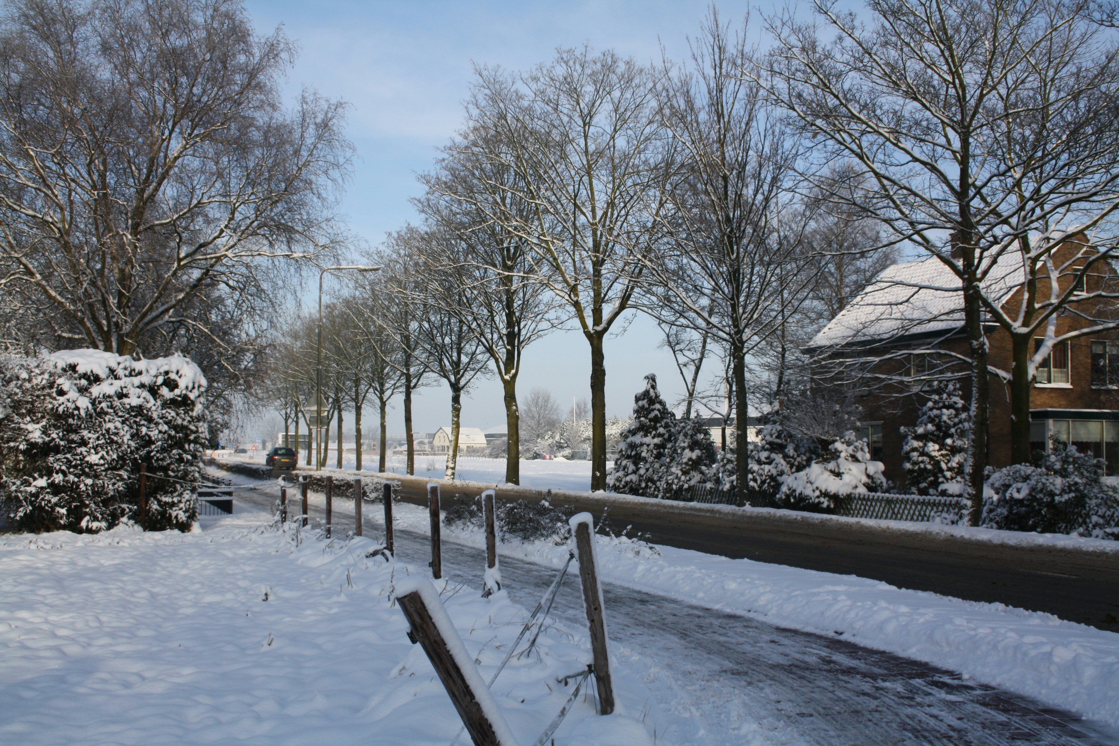 Photo by ninasarrows